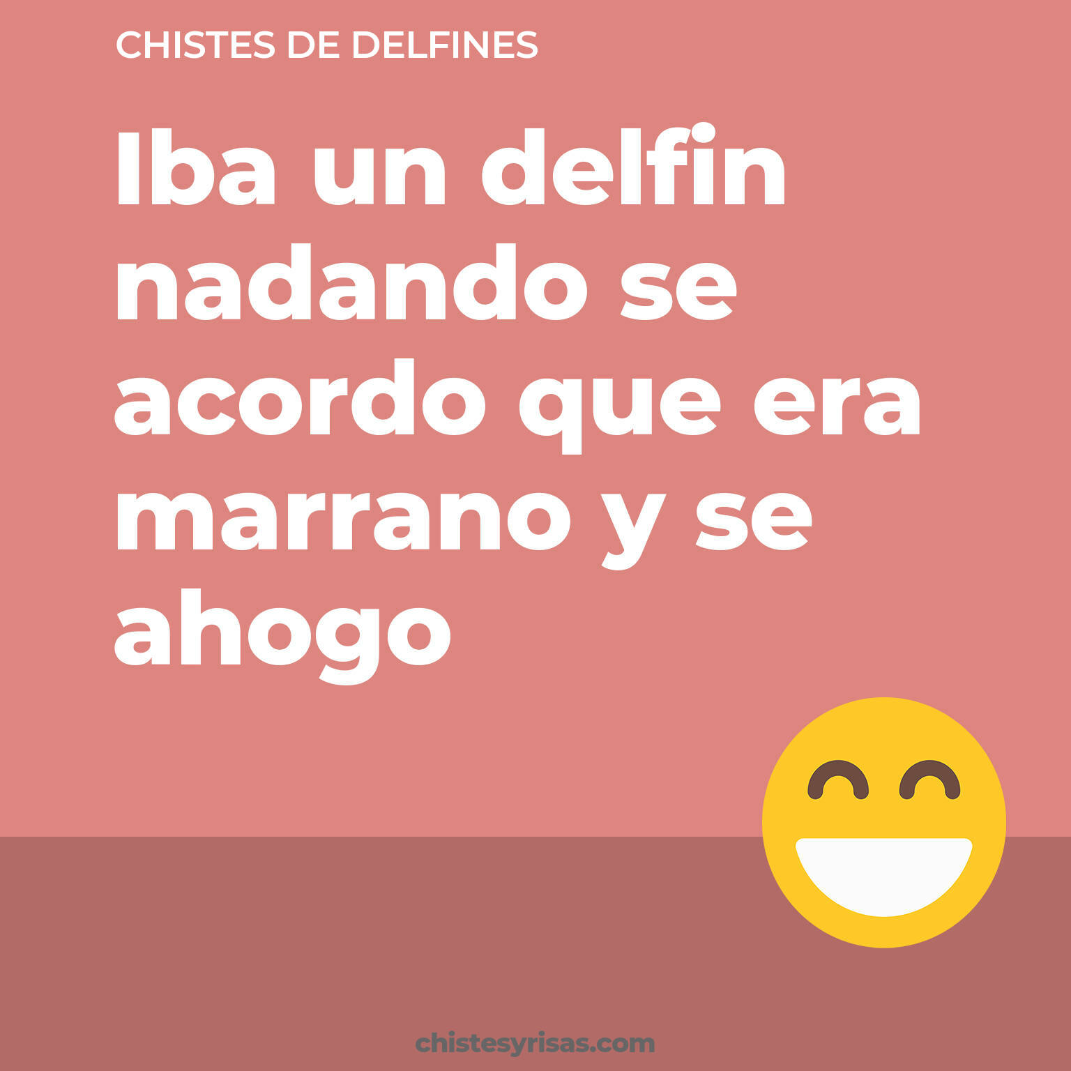 chistes de Delfines buenos