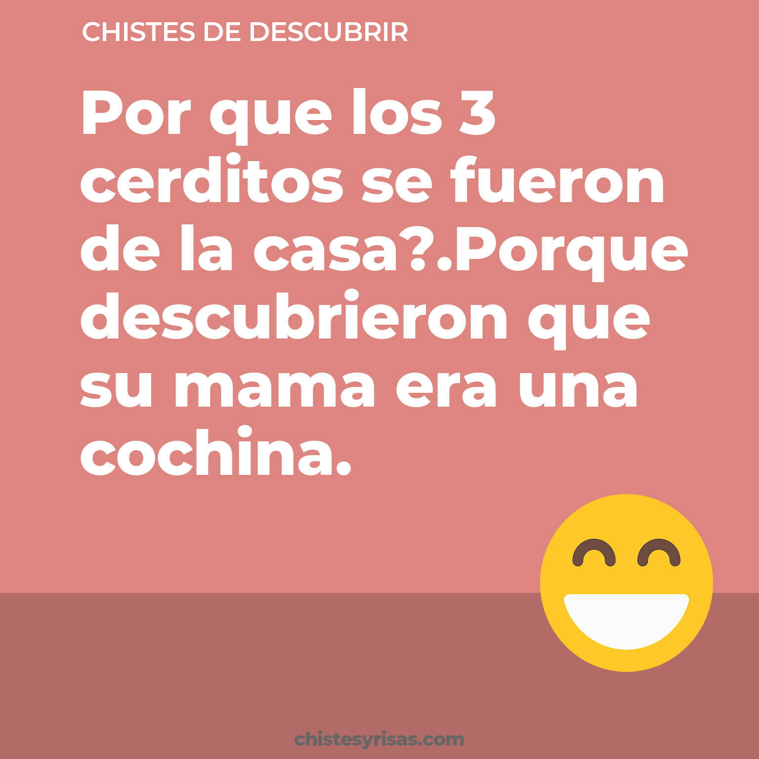 chistes de Descubrir cortos