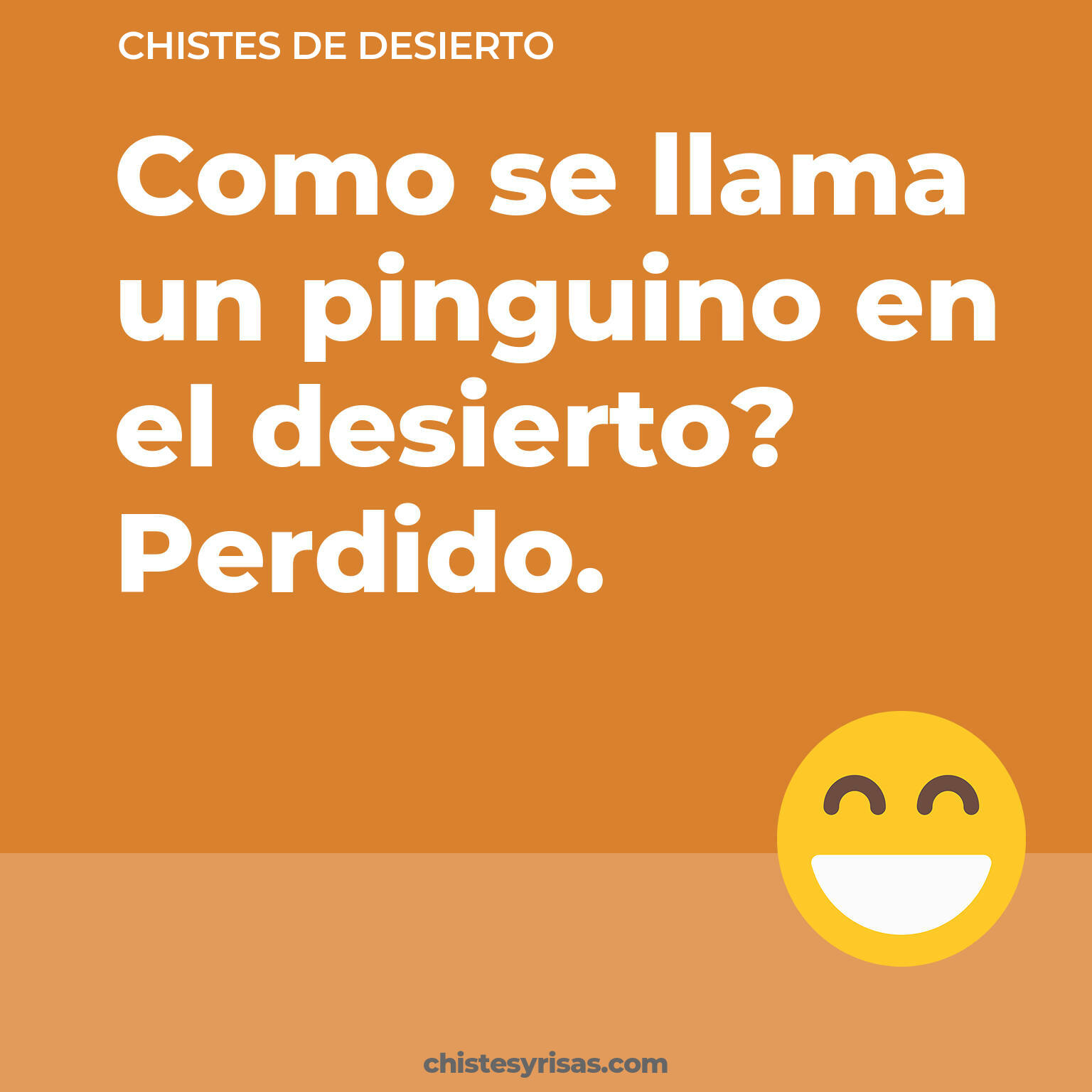 chistes de Desierto buenos