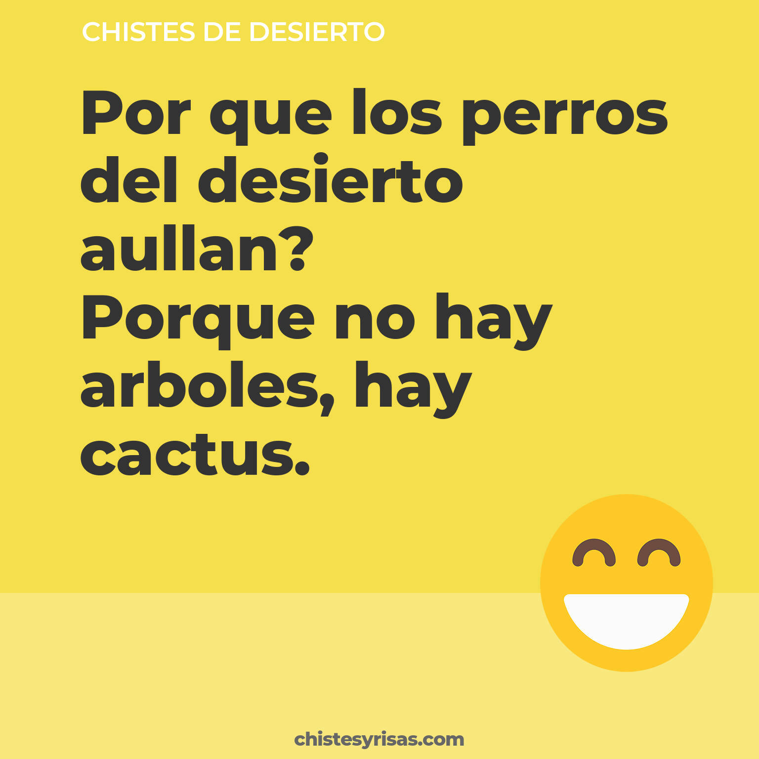 chistes de Desierto cortos