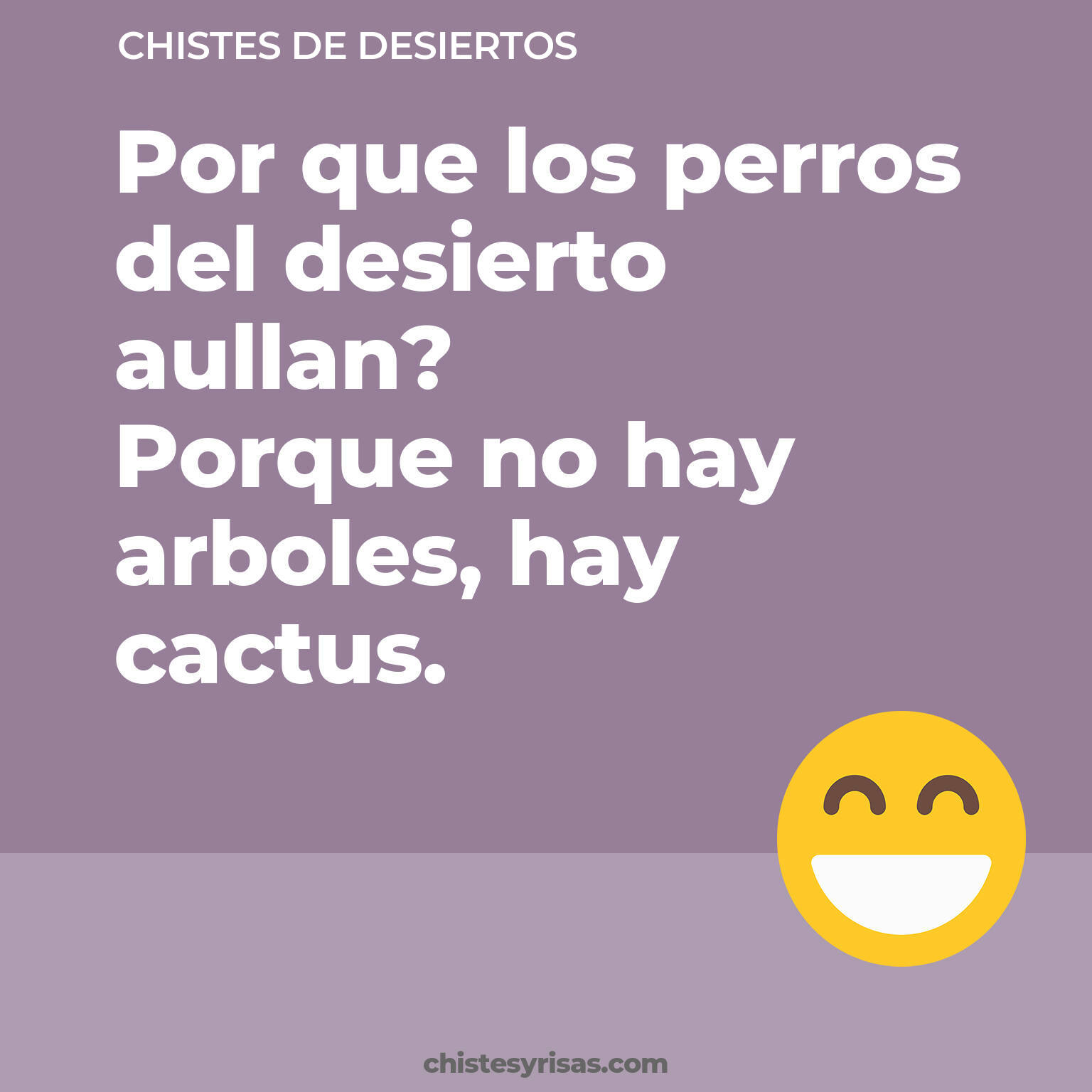 chistes de Desiertos cortos