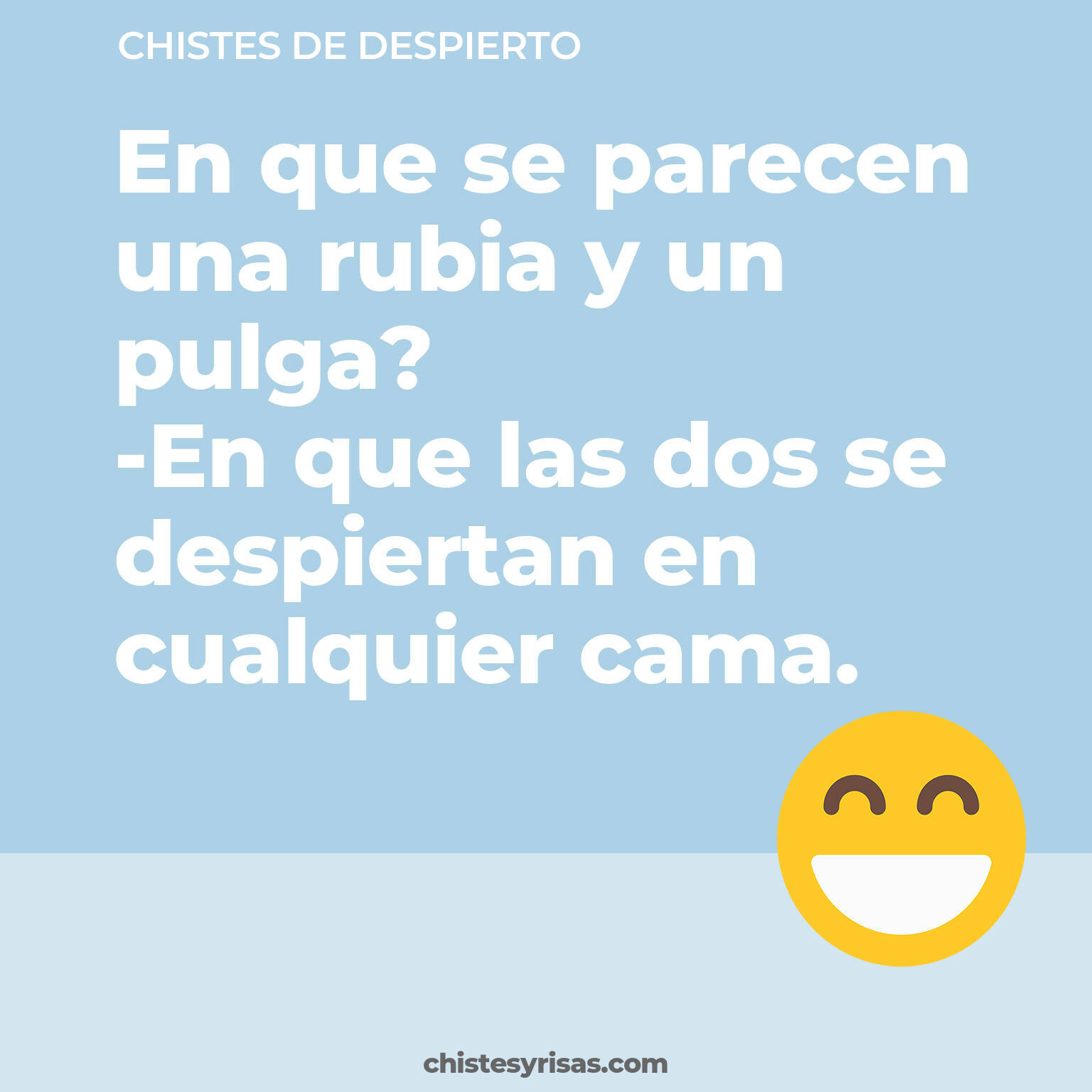 chistes de Despierto buenos foto para reir