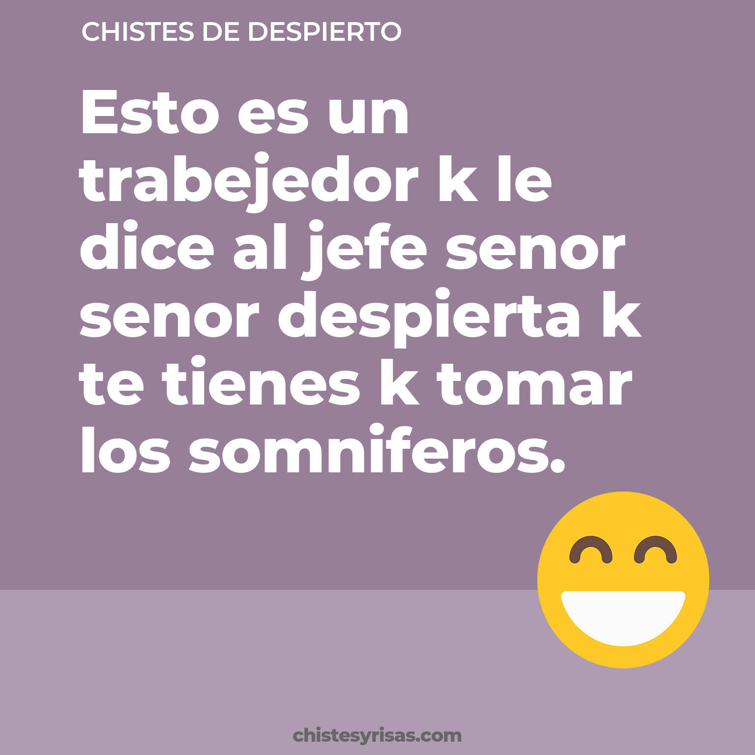 chistes de Despierto cortos