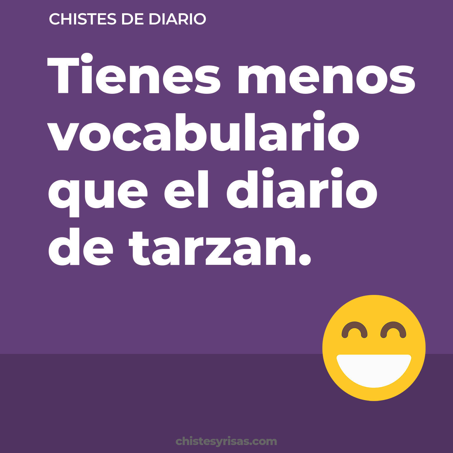 chistes de Diario cortos