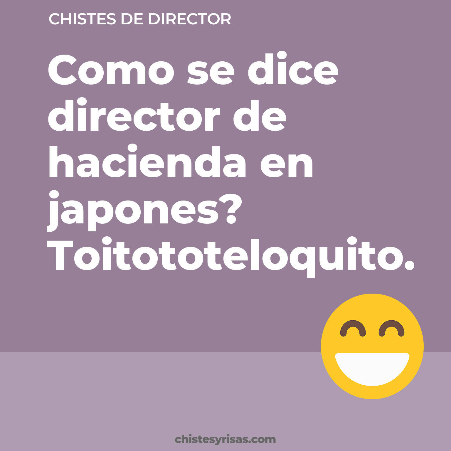 chistes de Director más graciosos