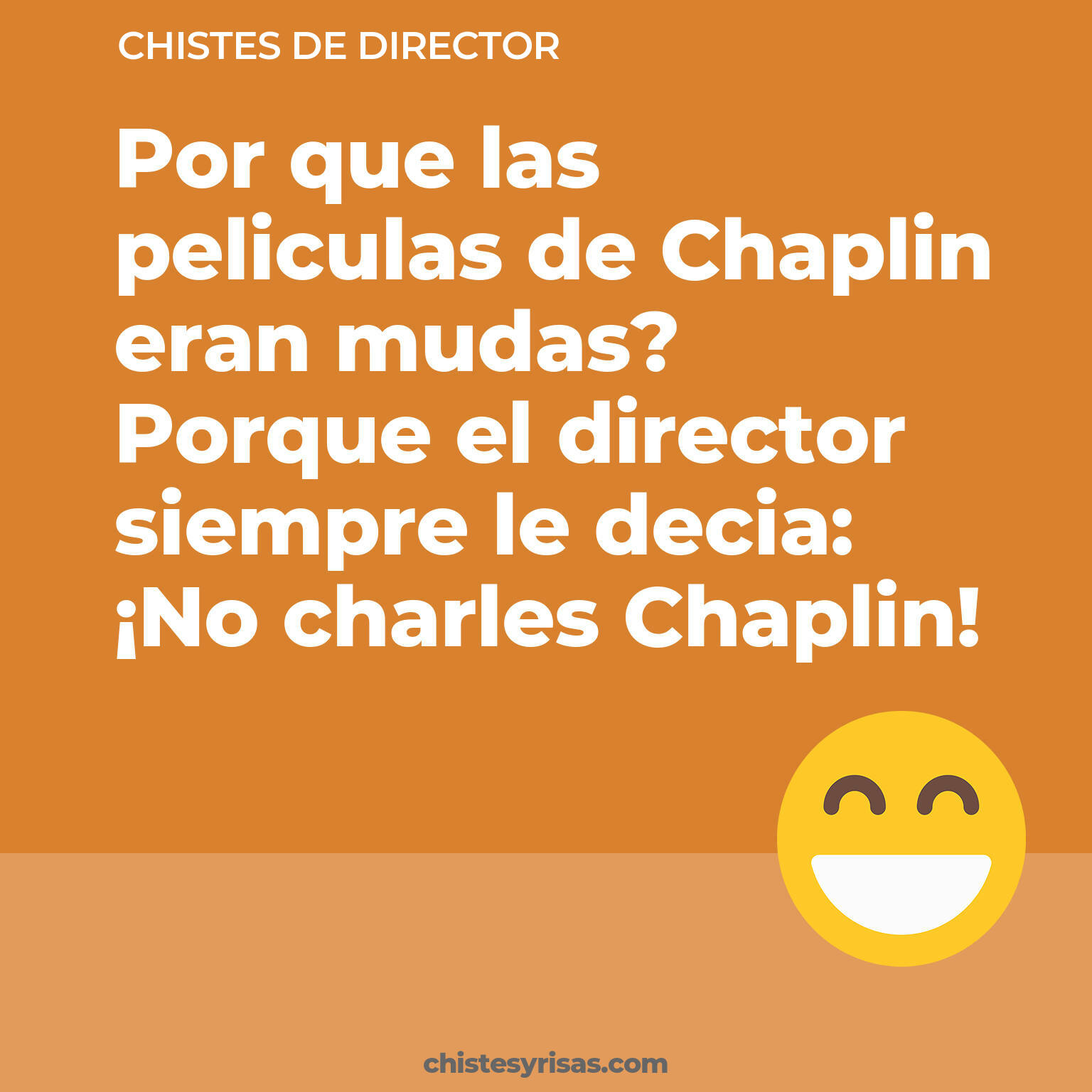 chistes de Director cortos