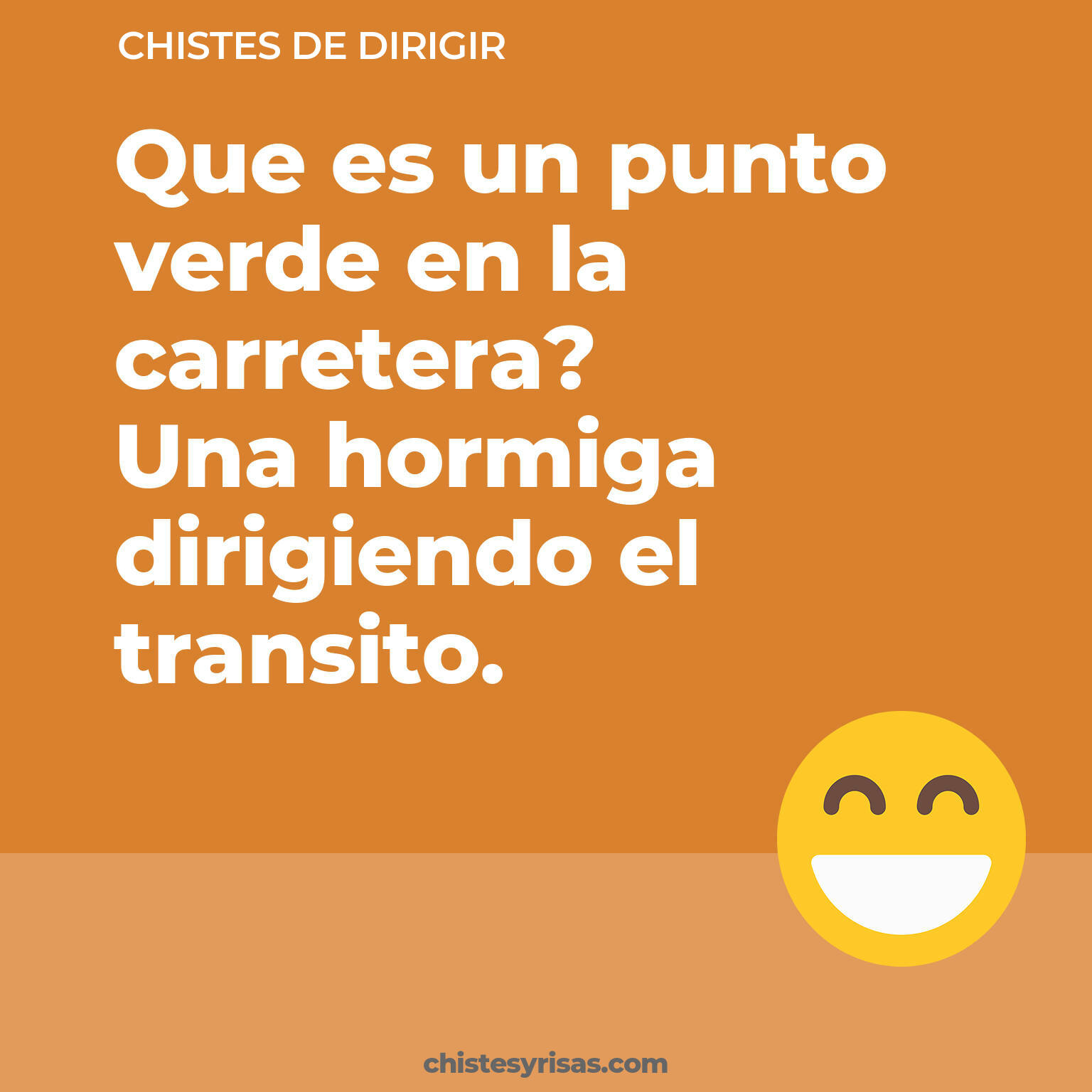 chistes de Dirigir buenos