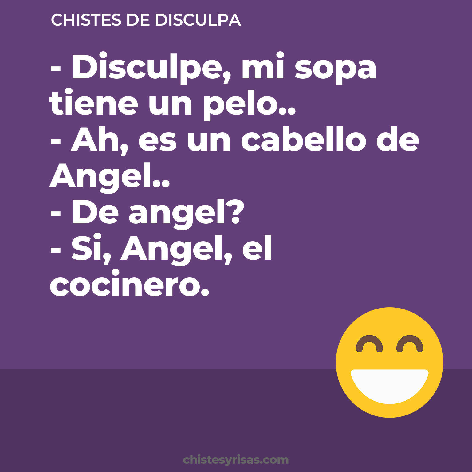 chistes de Disculpa cortos