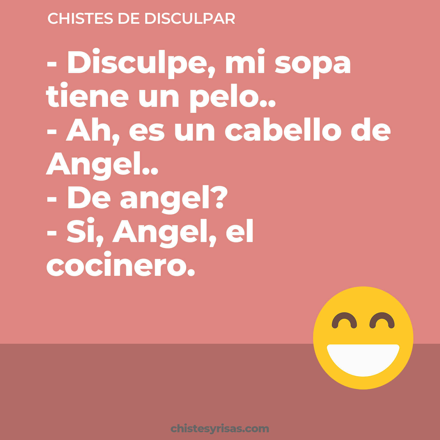 chistes de Disculpar cortos