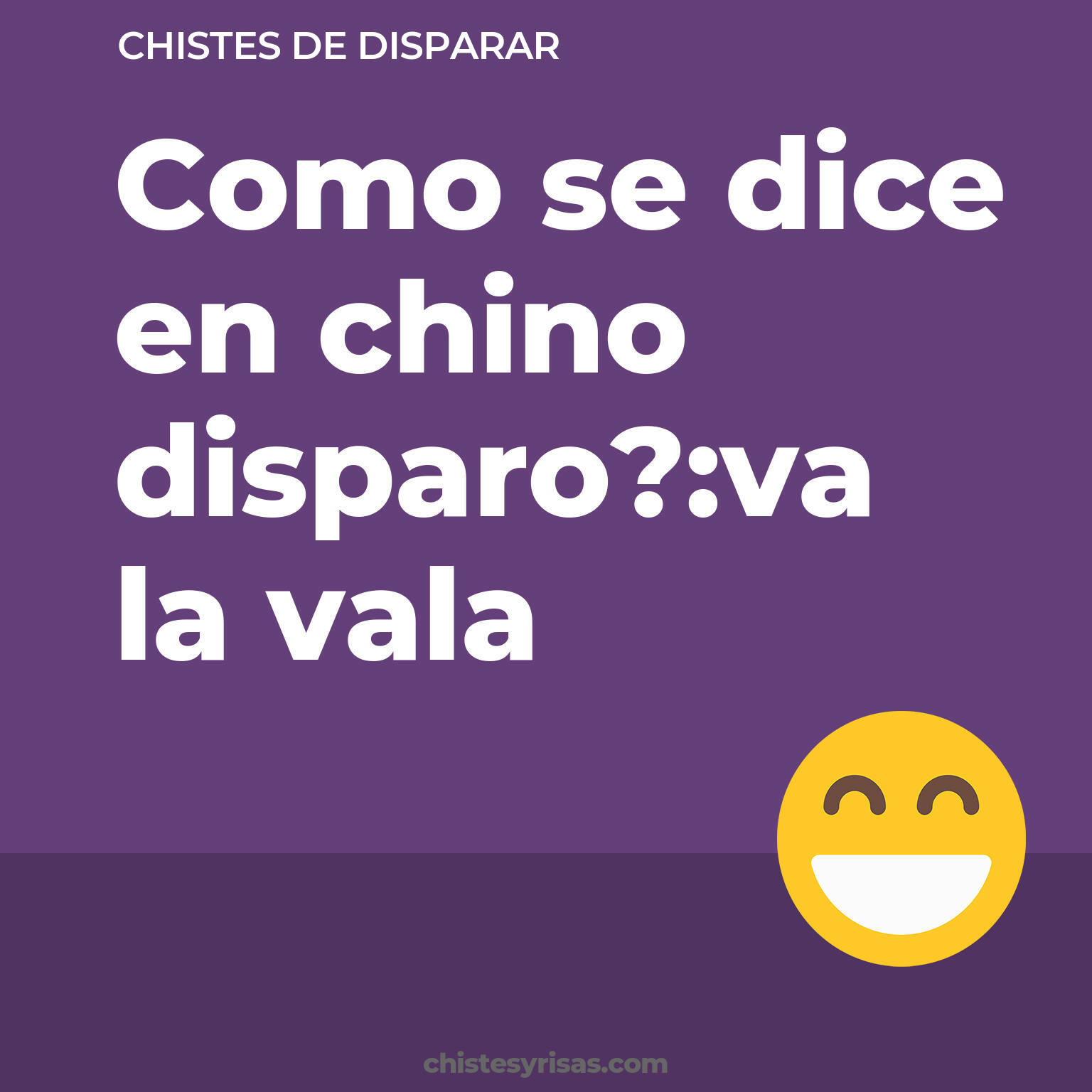 chistes de Disparar más graciosos