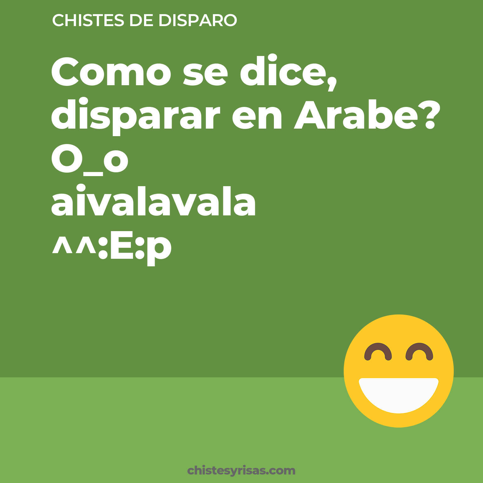 chistes de Disparo cortos