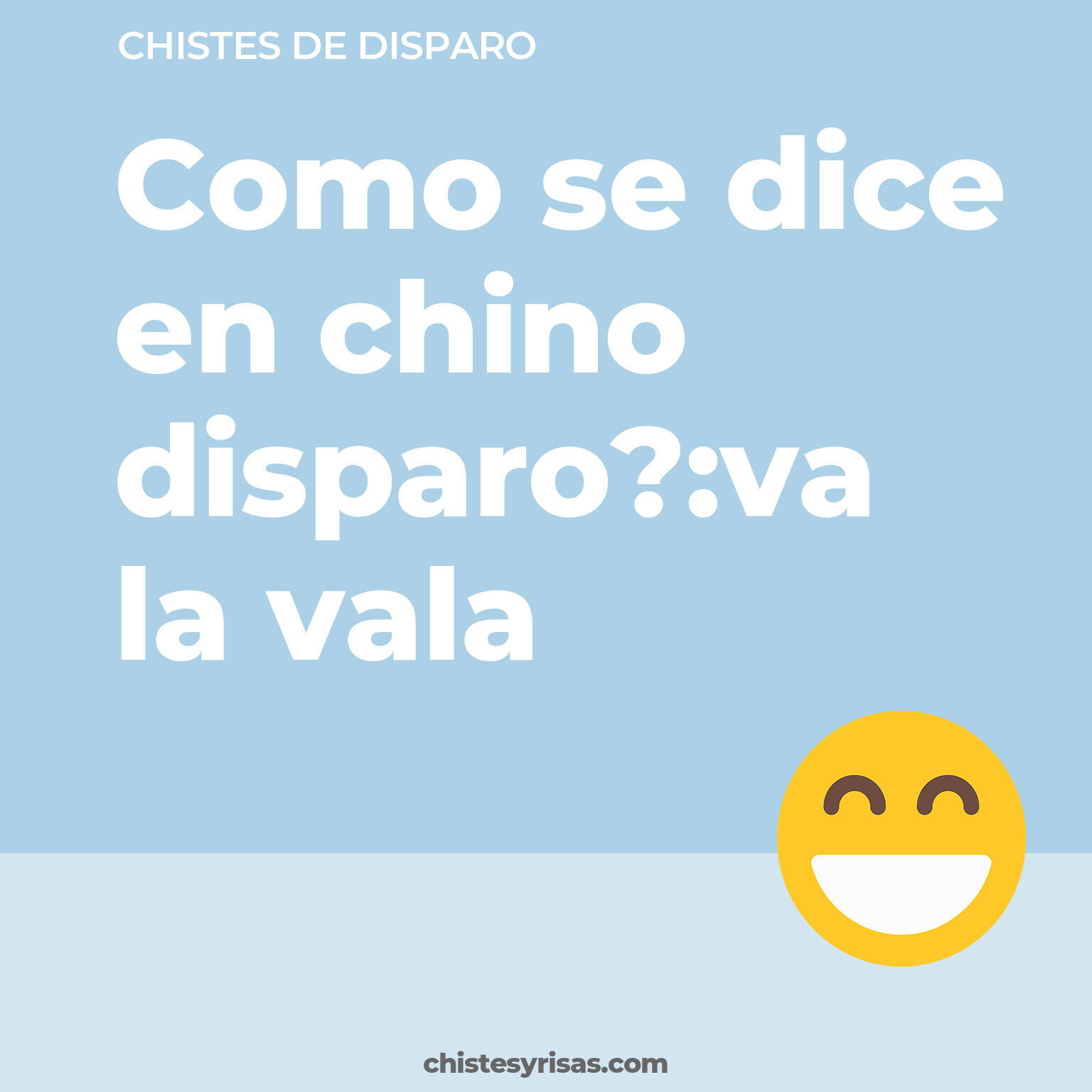 chistes de Disparo más graciosos