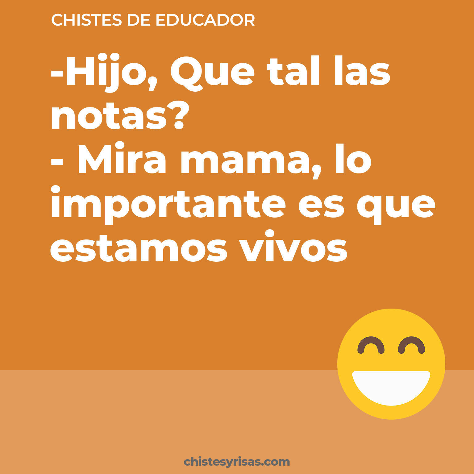 chistes de Educador más graciosos