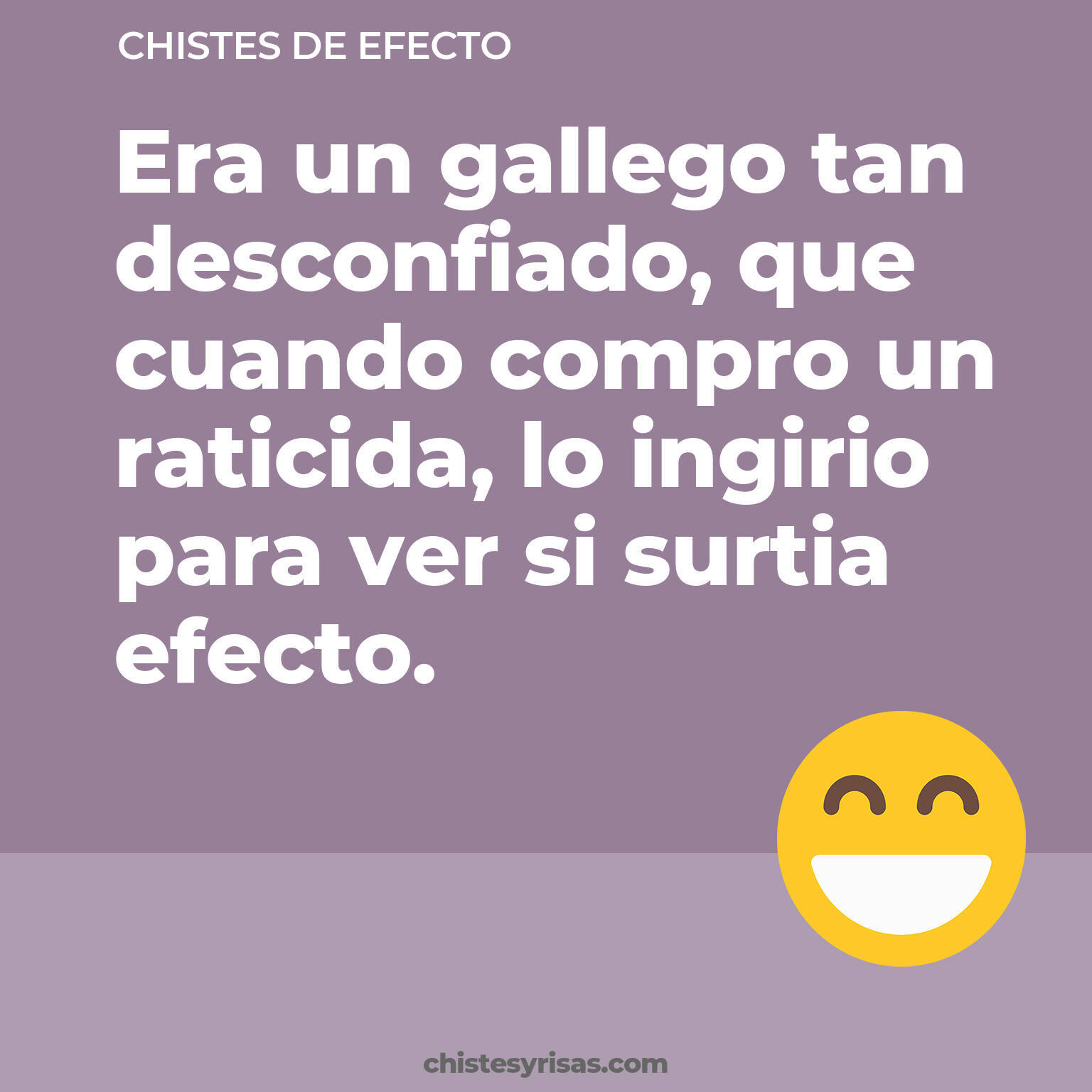 chistes de Efecto cortos