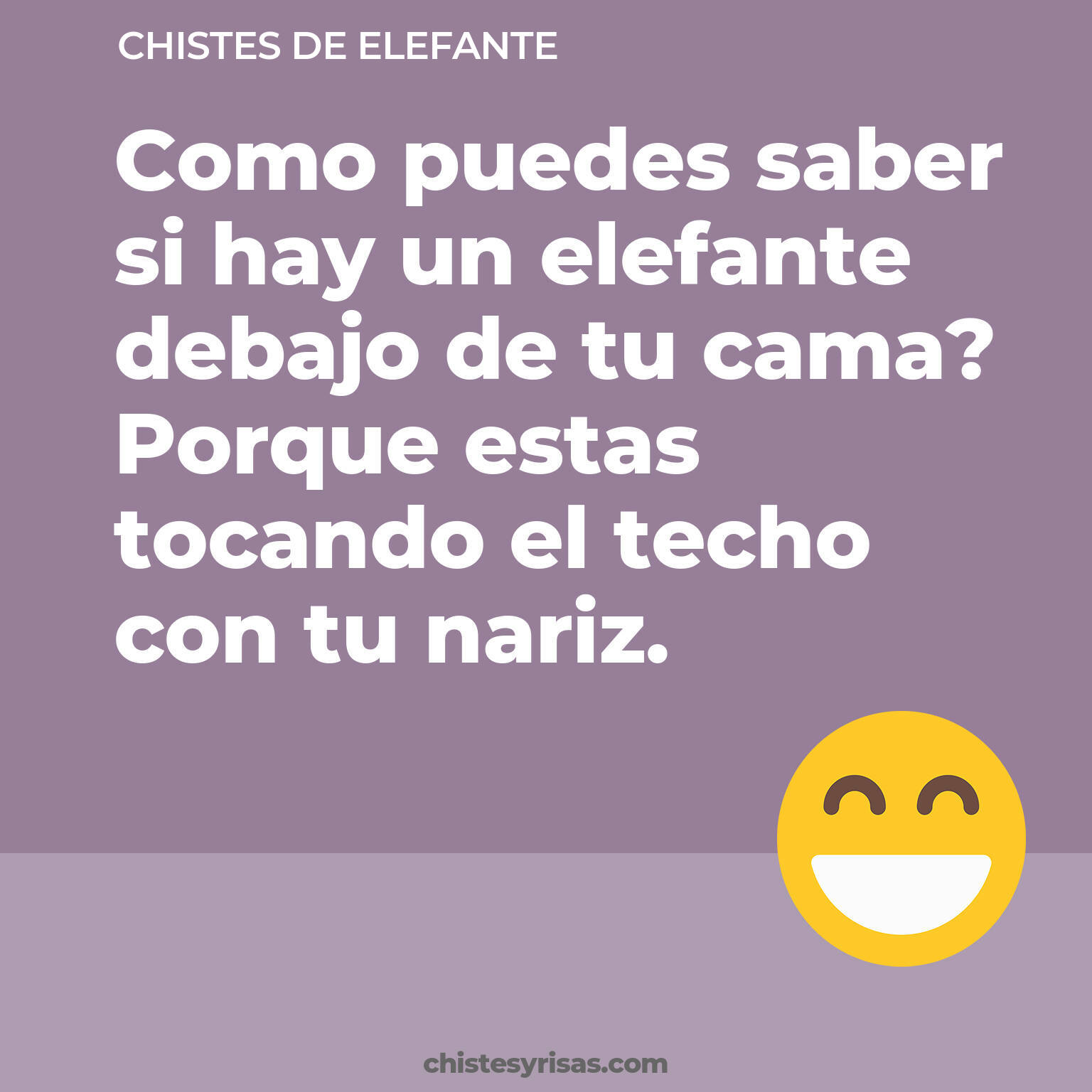 chistes de Elefante buenos