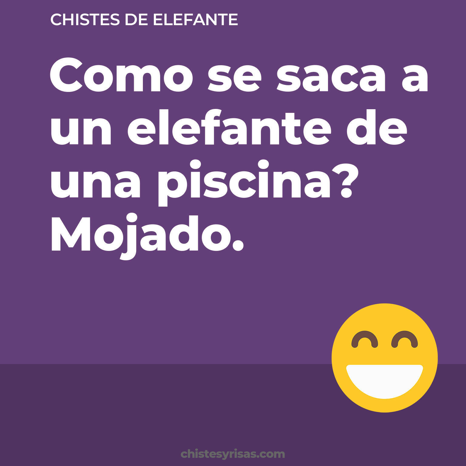 chistes de Elefante cortos