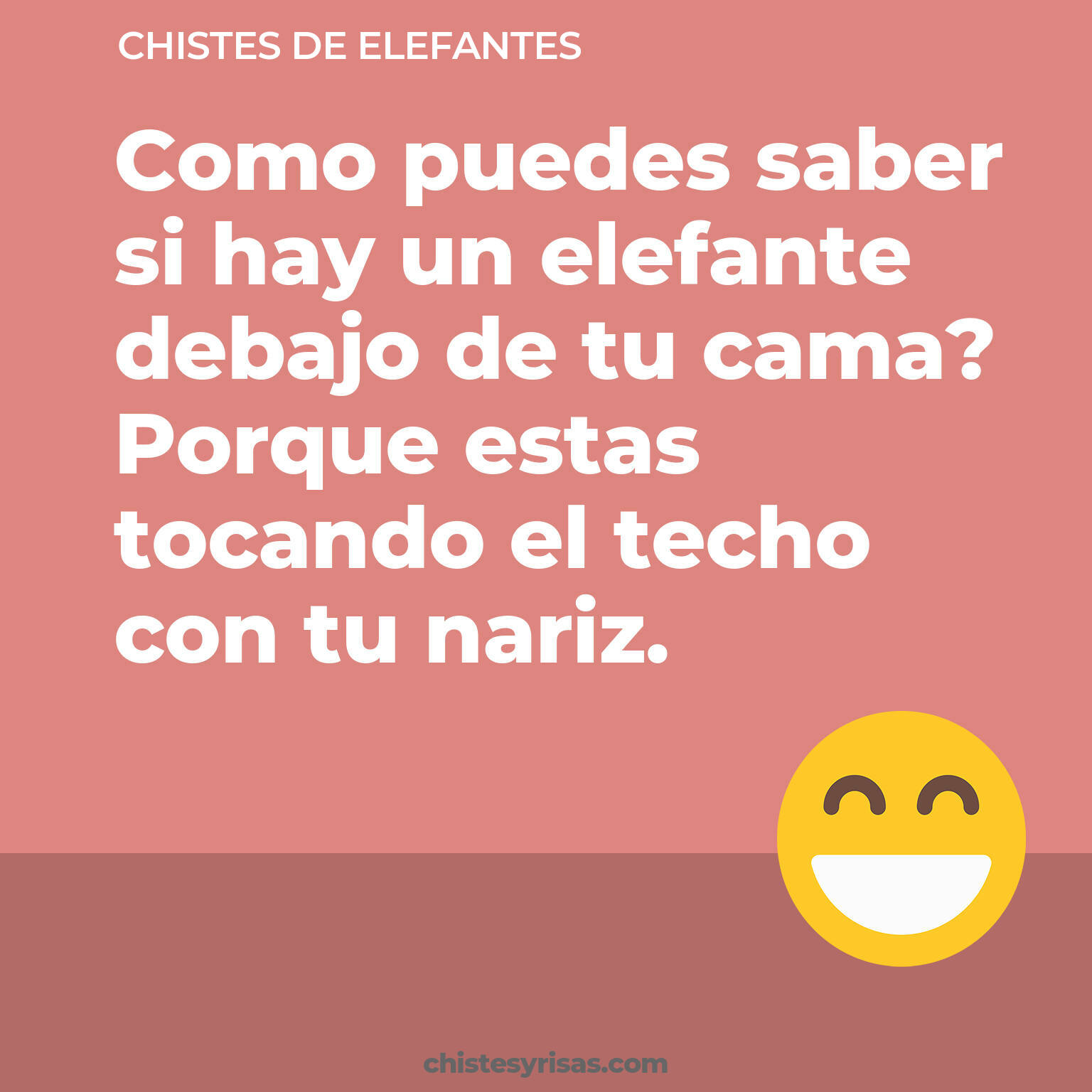 chistes de Elefantes buenos