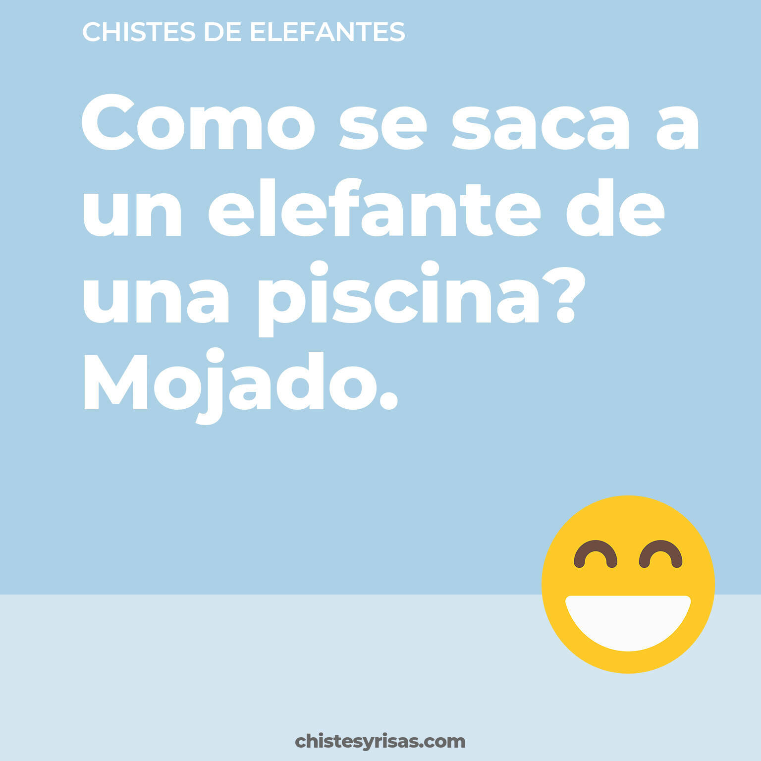 chistes de Elefantes cortos