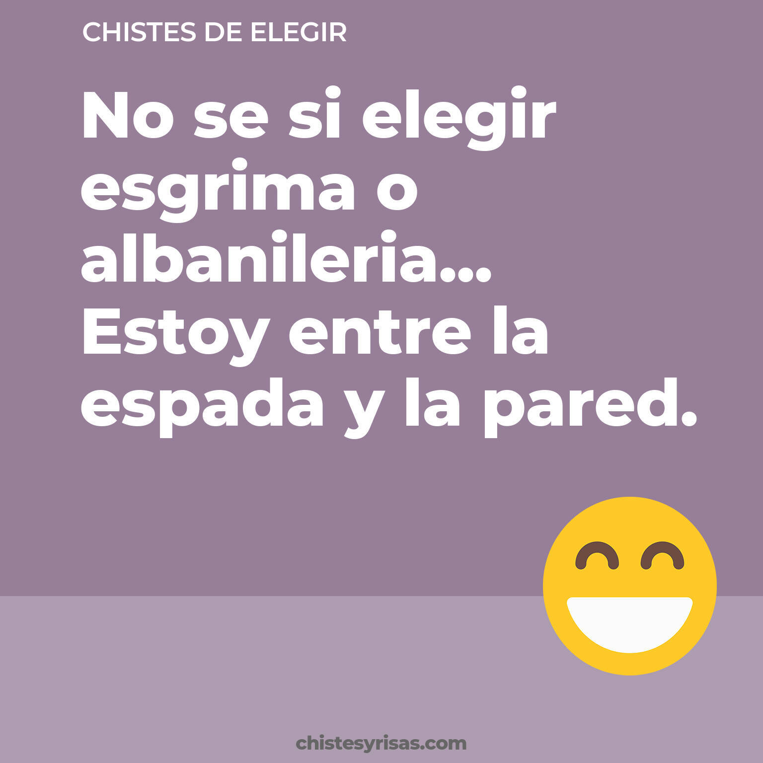 chistes de Elegir cortos