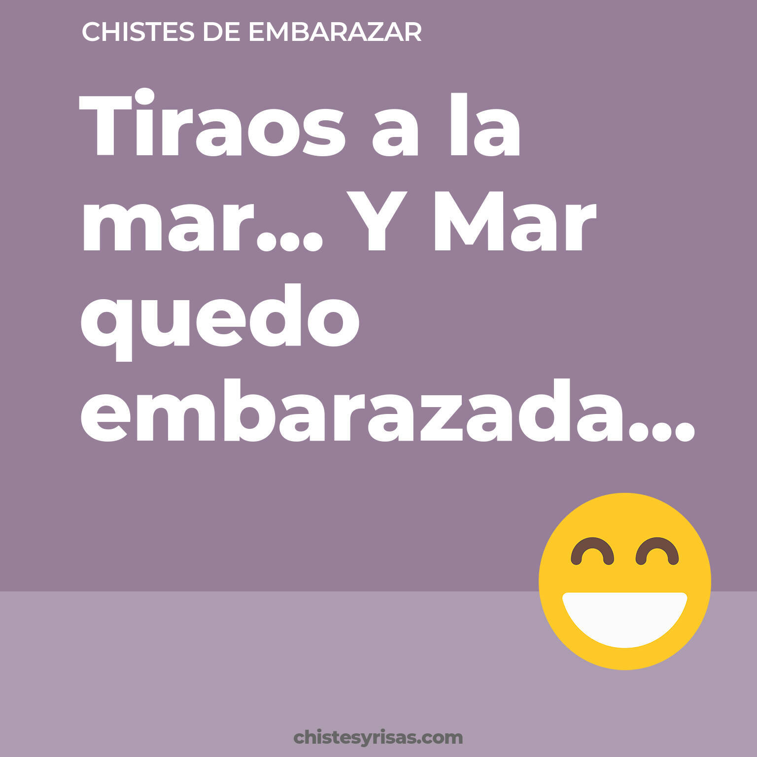 chistes de Embarazar cortos