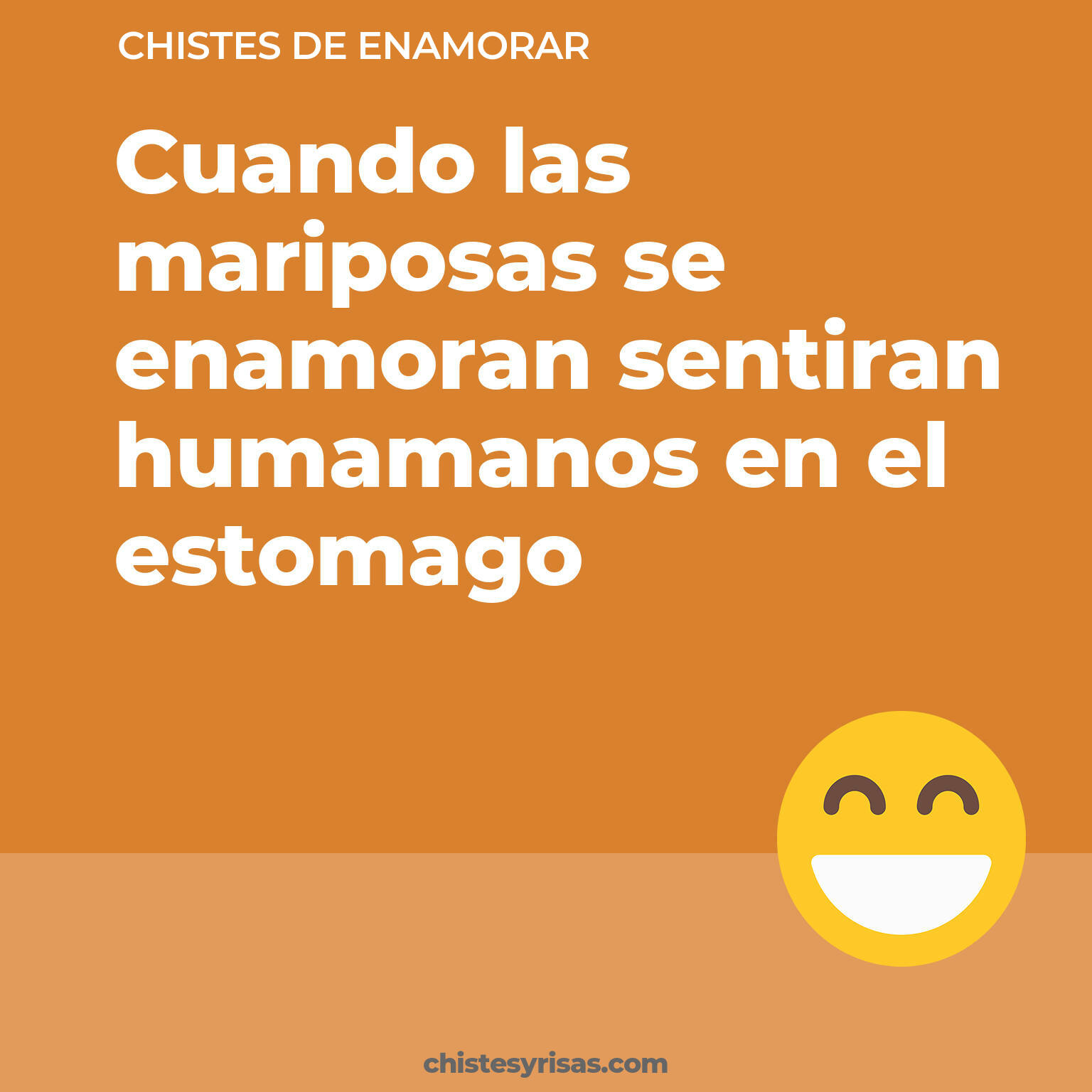 chistes de Enamorar más graciosos