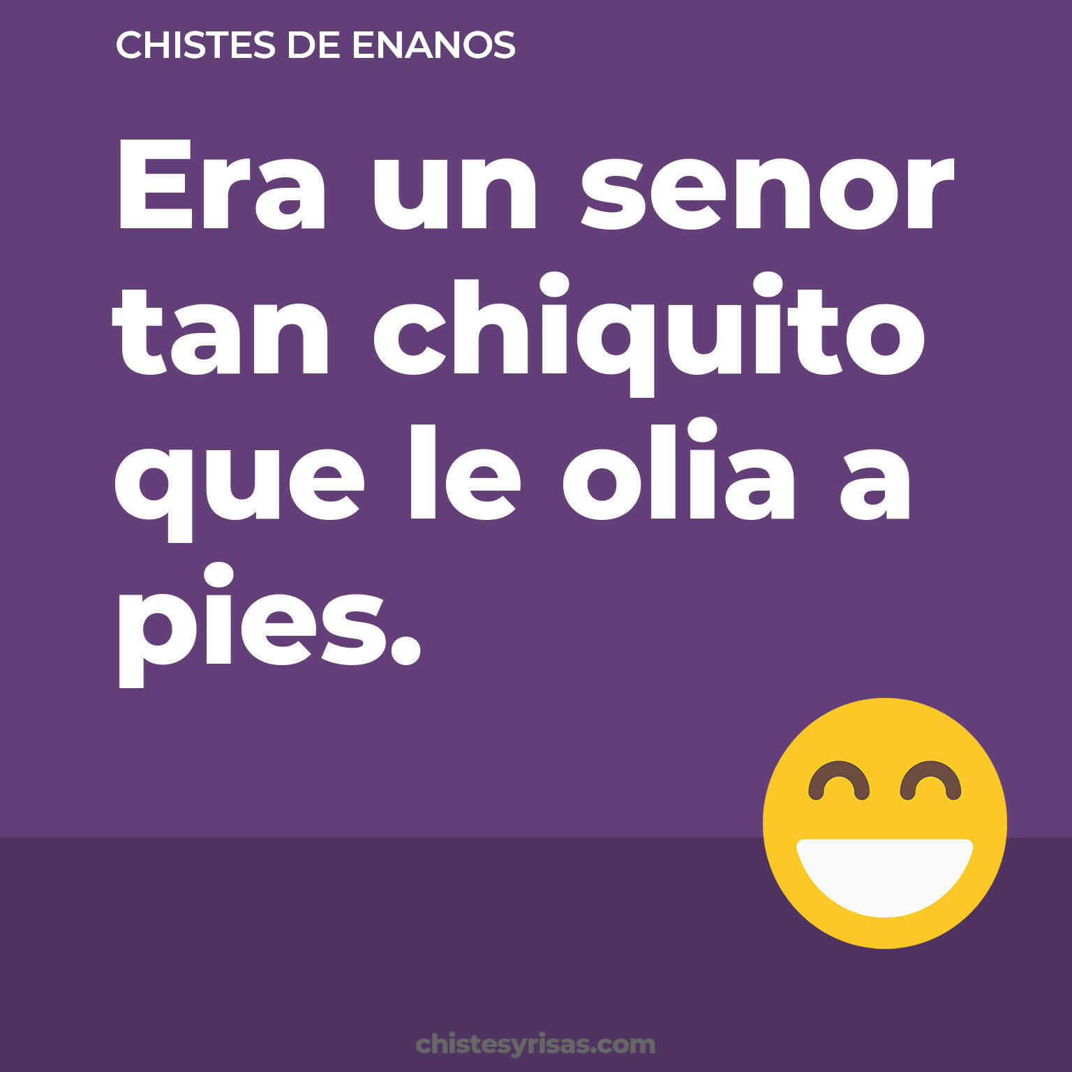 chistes de Enanos buenos