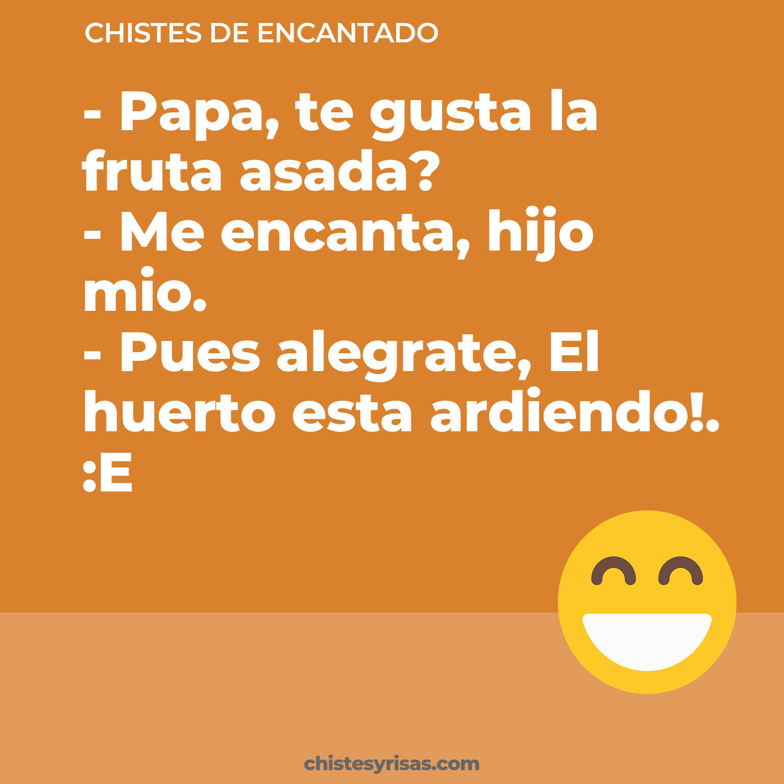 chistes de Encantado cortos