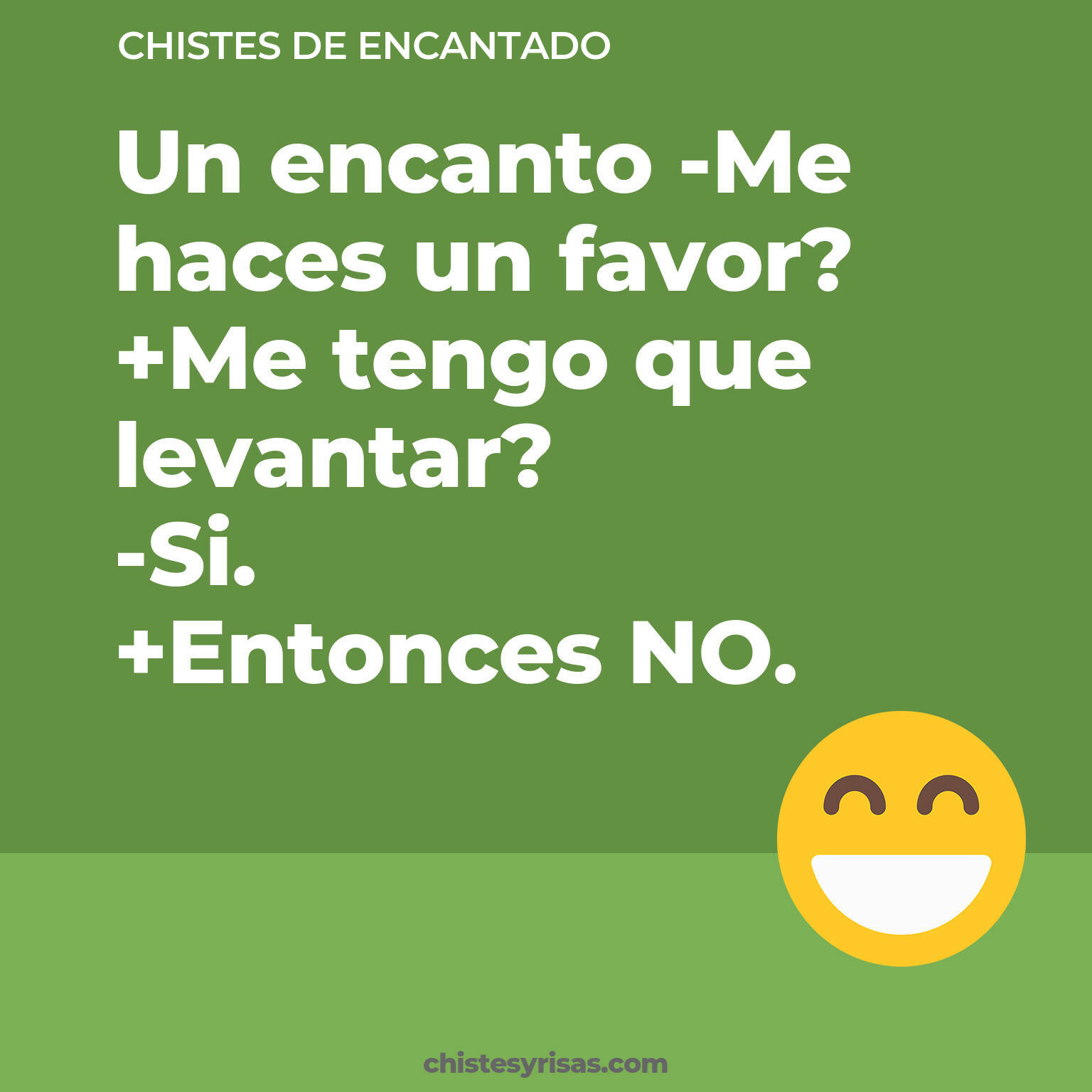 chistes de Encantado más graciosos