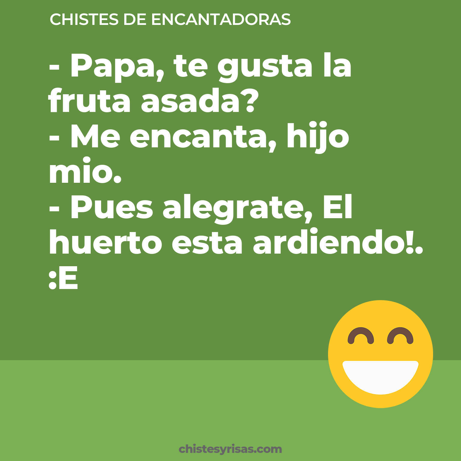 chistes de Encantadoras cortos