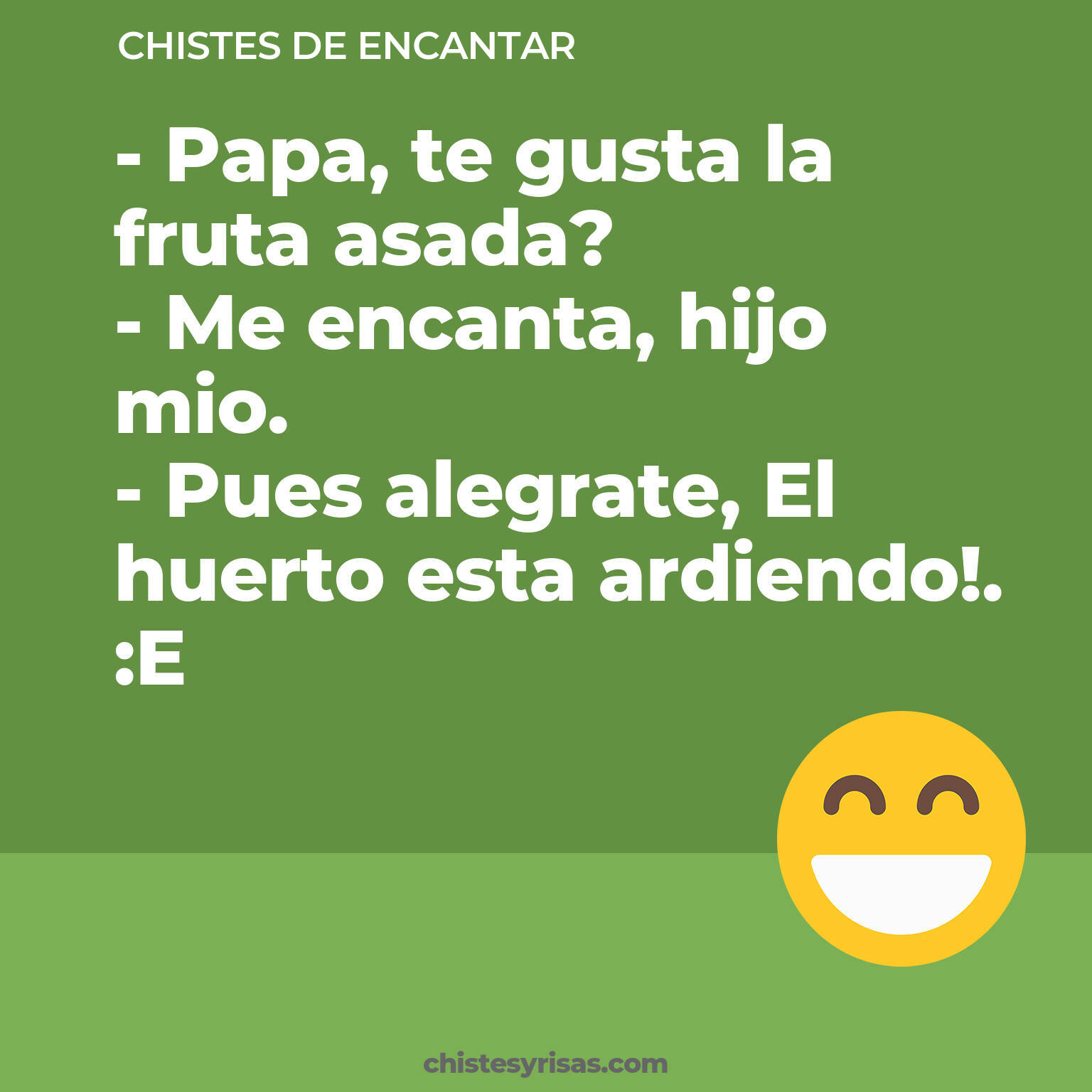 chistes de Encantar cortos