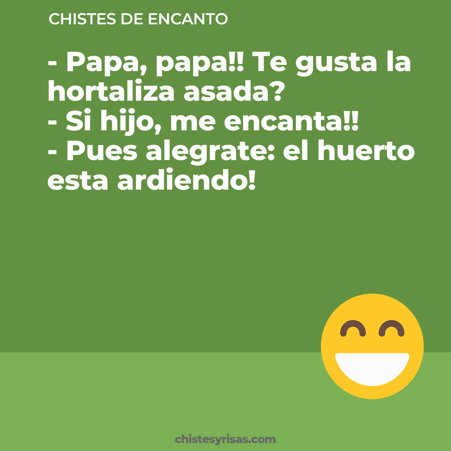 chistes de Encanto buenos