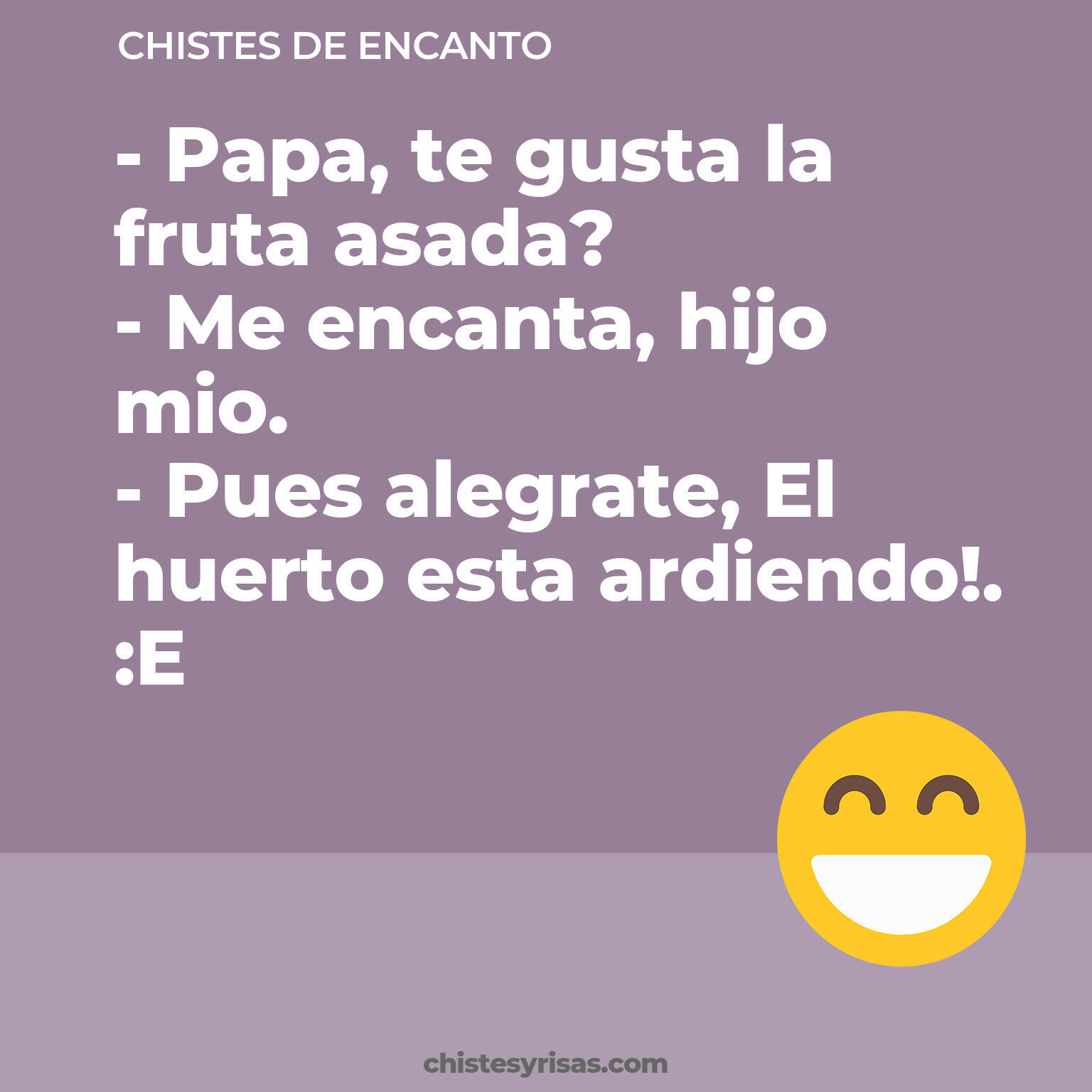 chistes de Encanto cortos