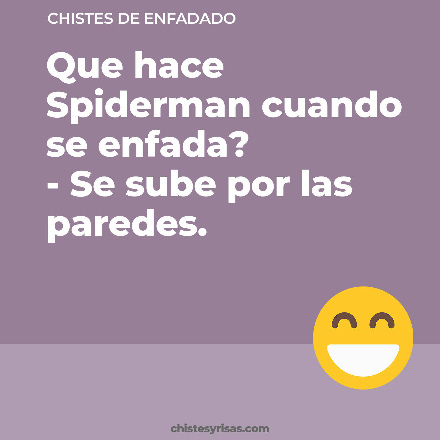 chistes de Enfadado cortos