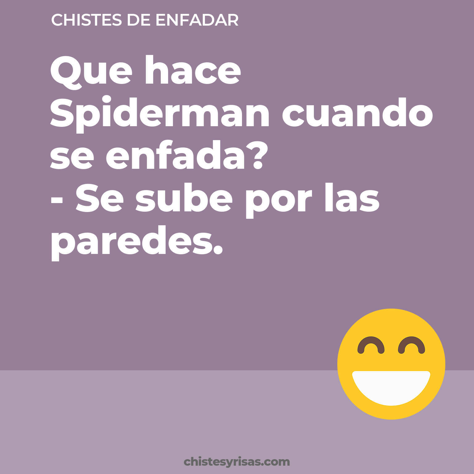 chistes de Enfadar cortos