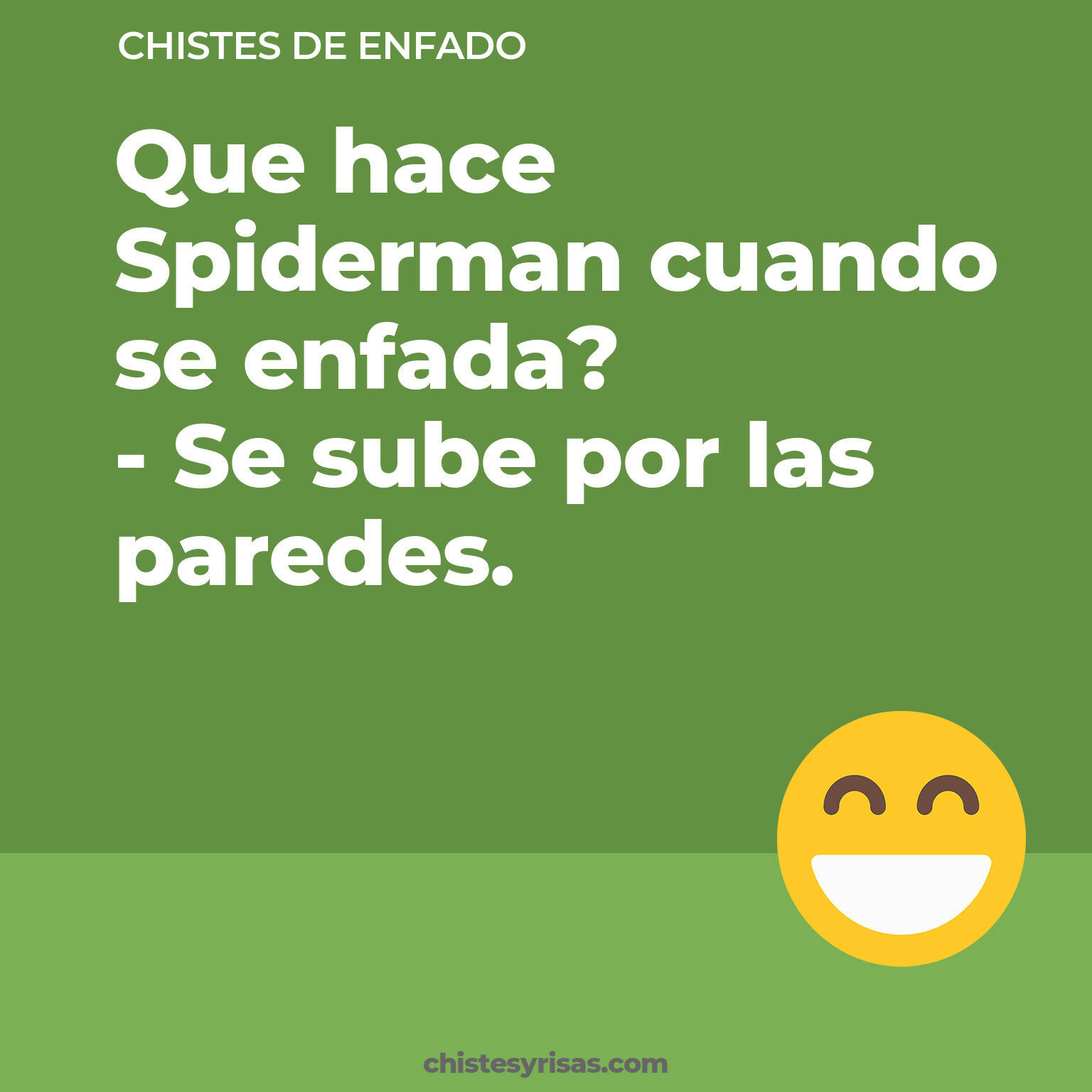 chistes de Enfado cortos