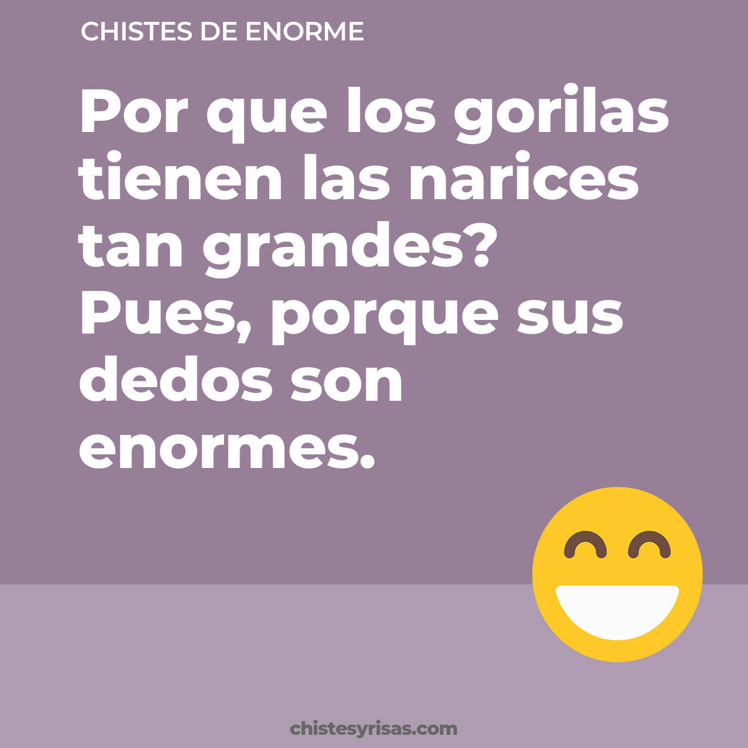 chistes de Enorme buenos