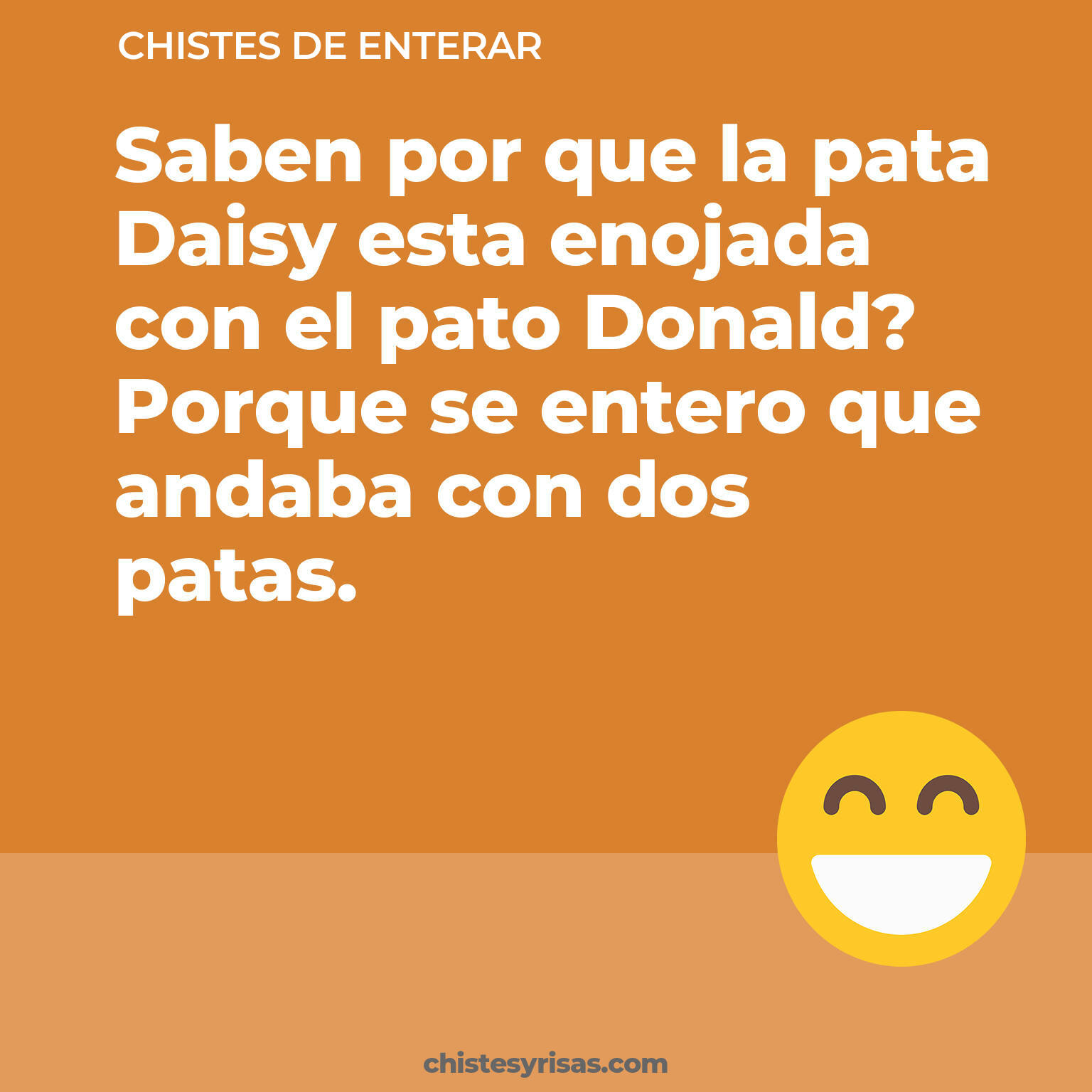 chistes de Enterar cortos