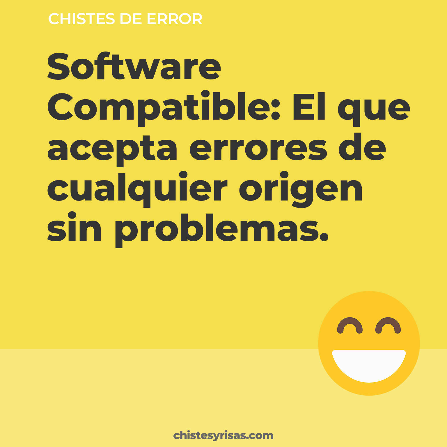 chistes de Error cortos