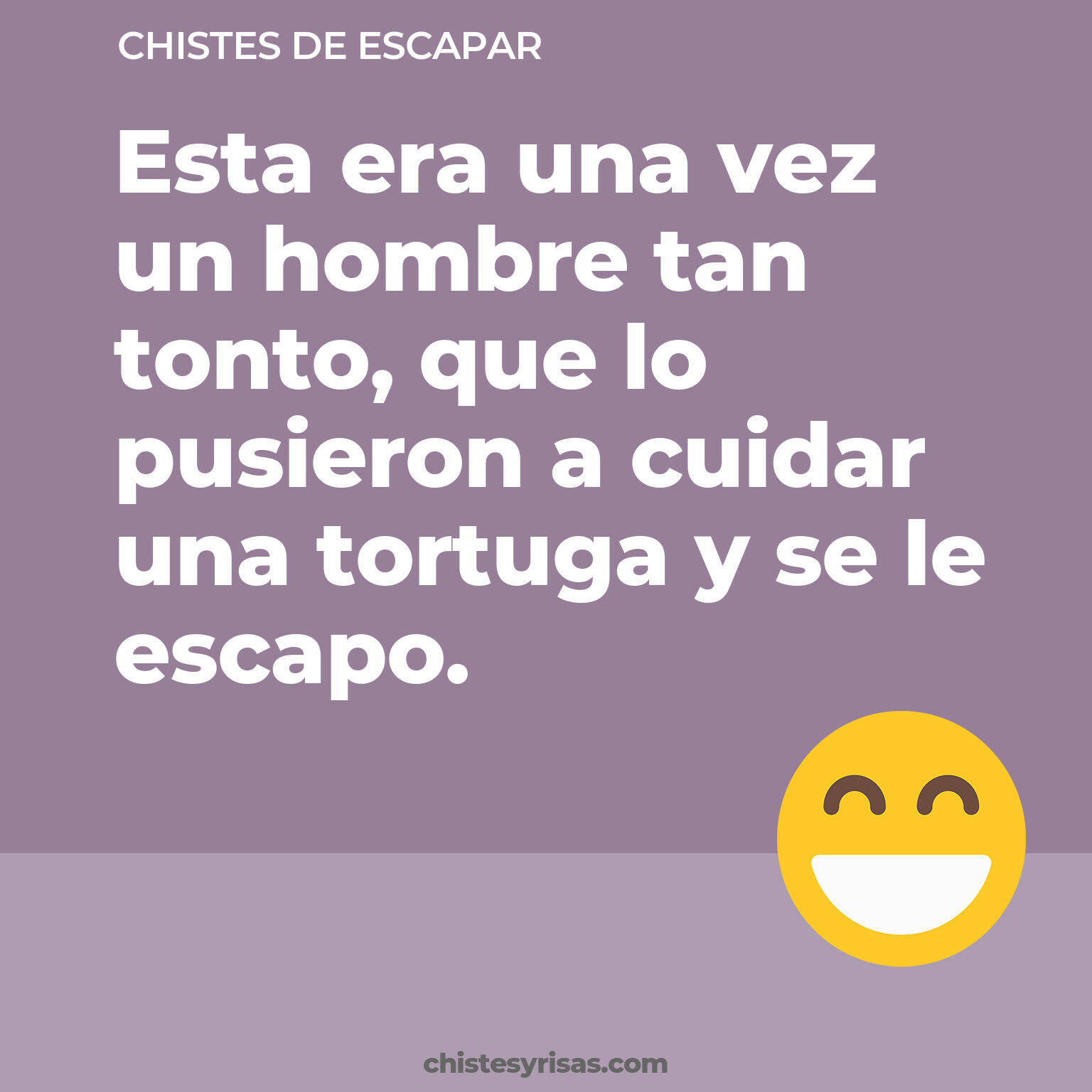 chistes de Escapar más graciosos