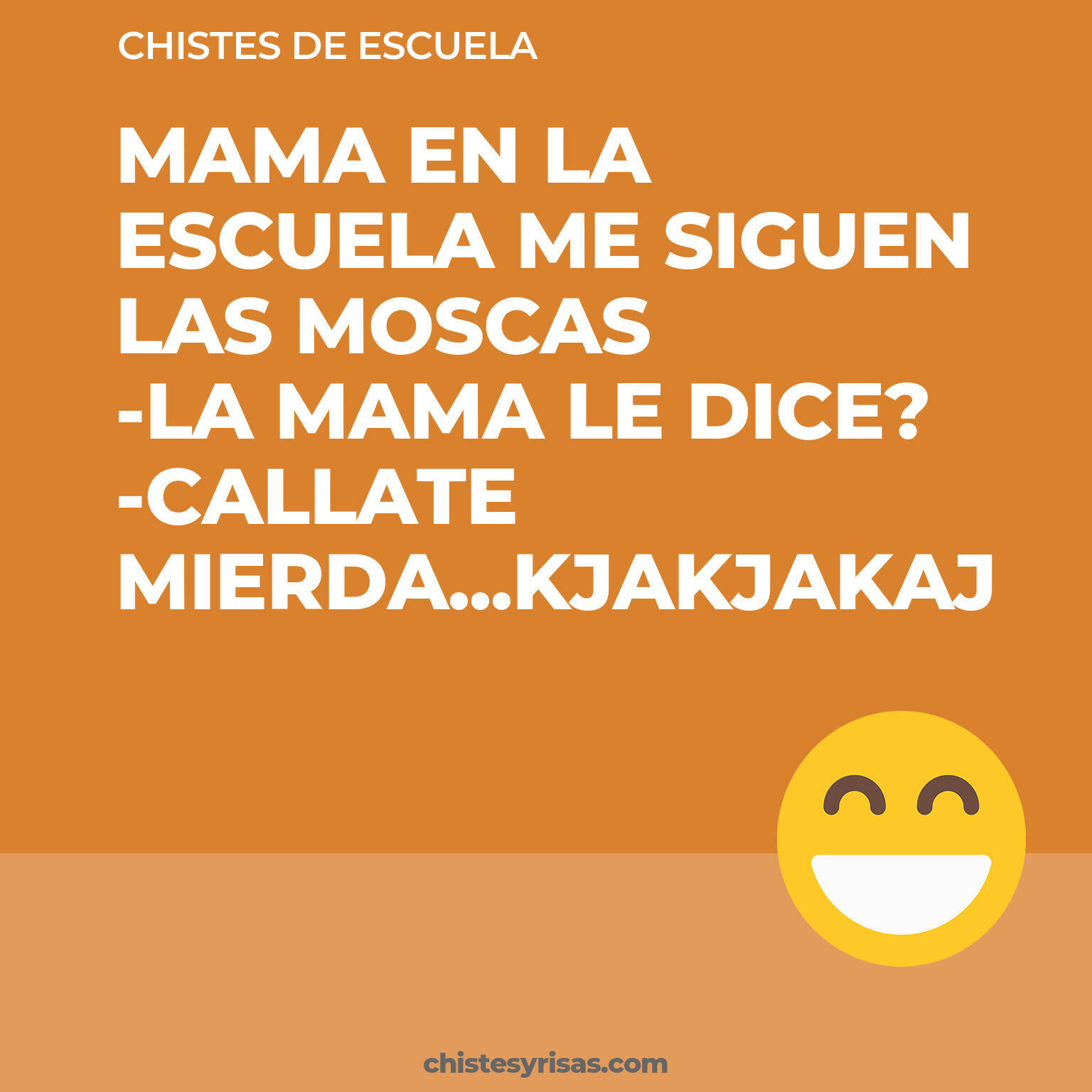 chistes de Escuela cortos