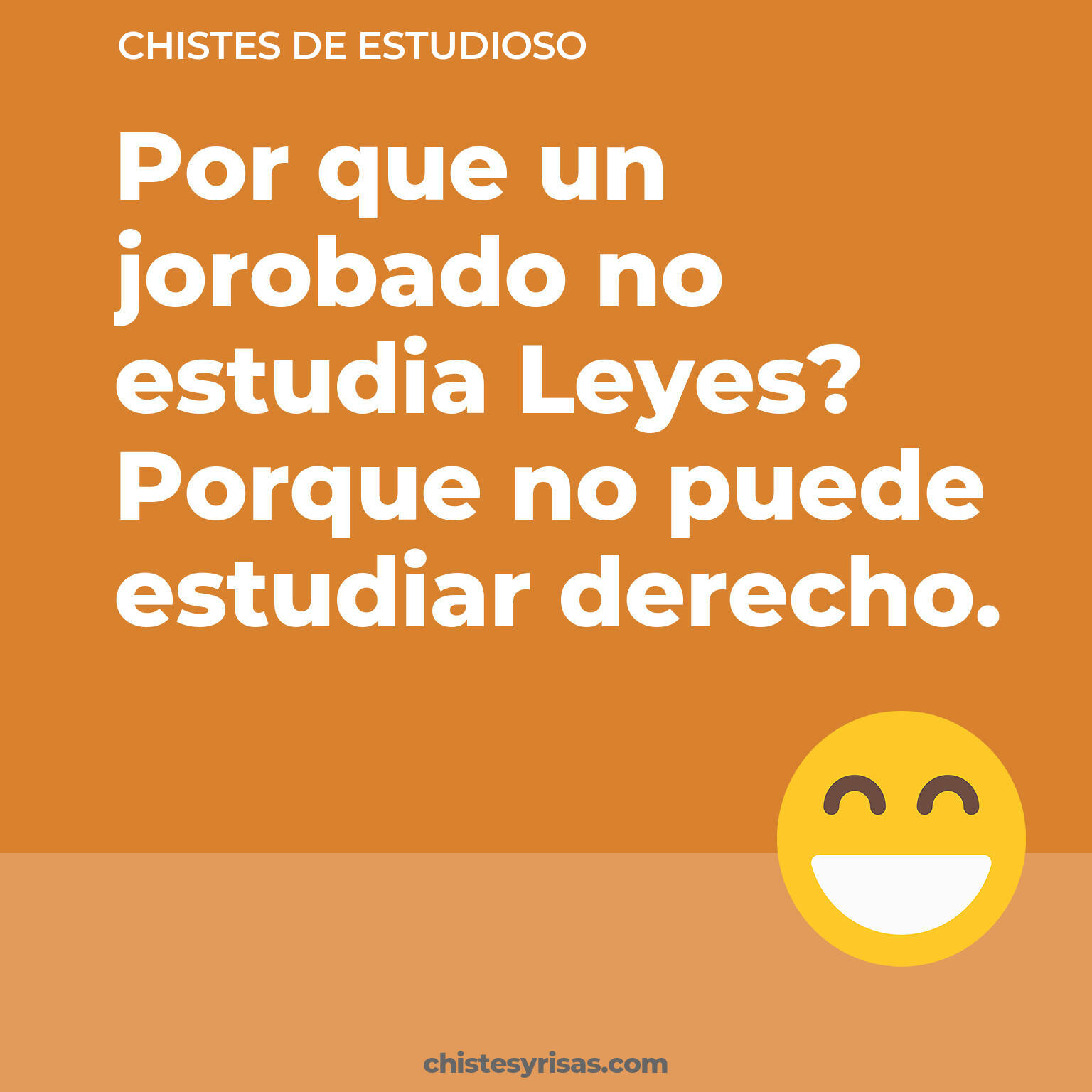 chistes de Estudioso cortos