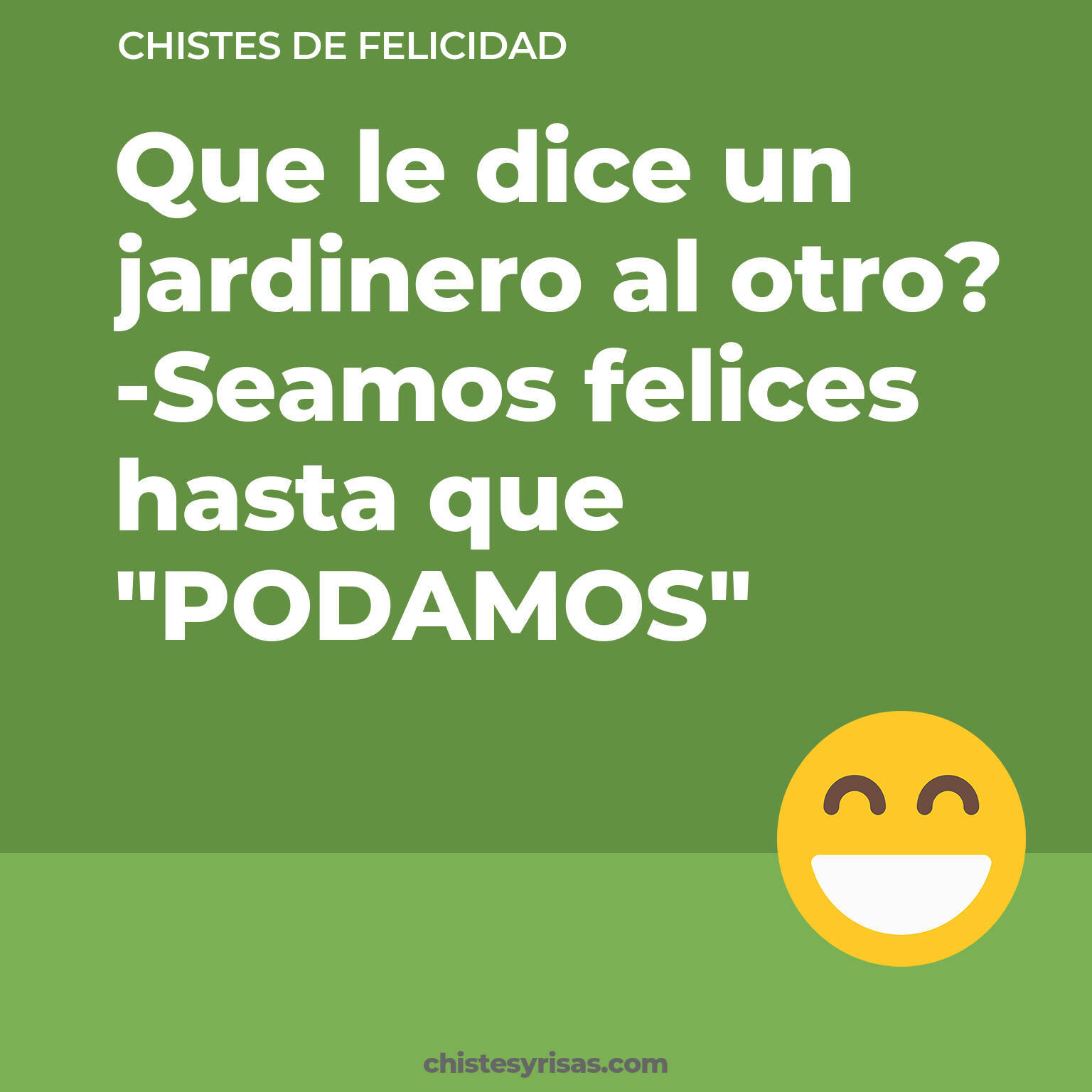 chistes de Felicidad cortos