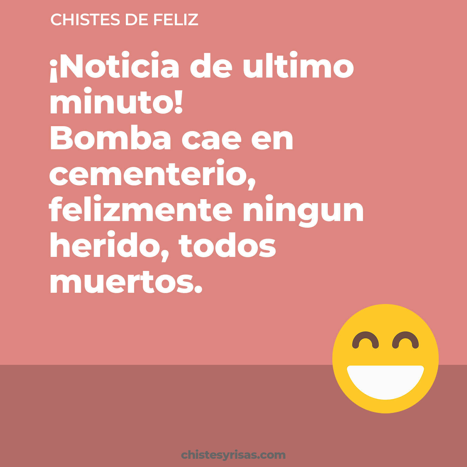 chistes de Feliz cortos