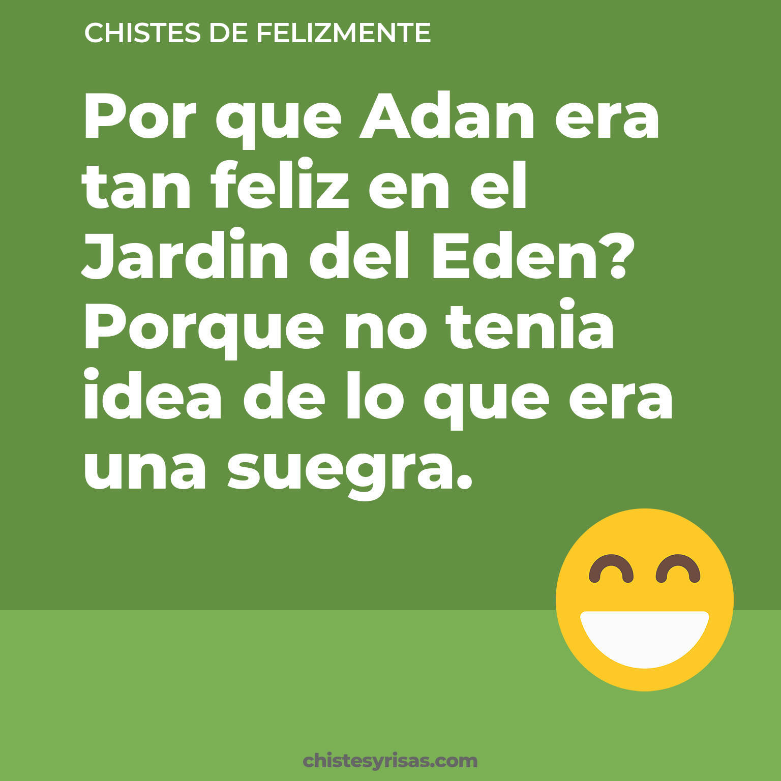 chistes de Felizmente buenos