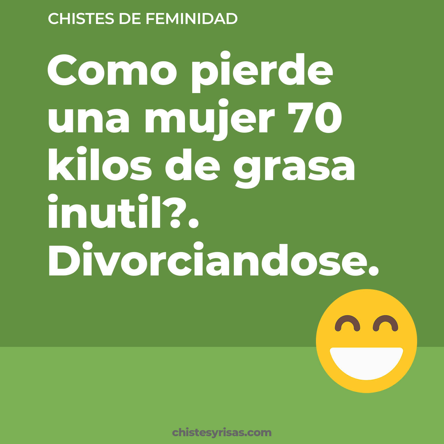 chistes de Feminidad buenos