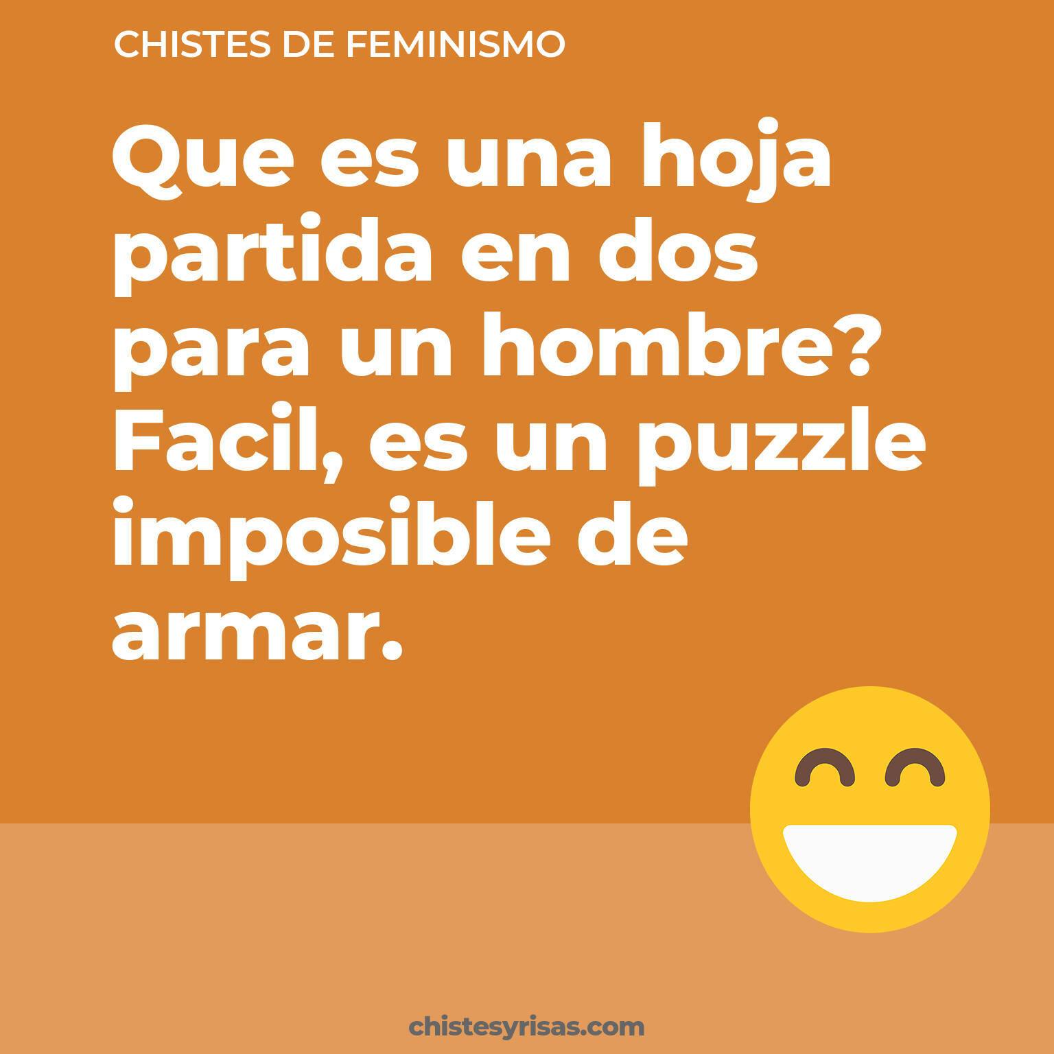 chistes de Feminismo más graciosos