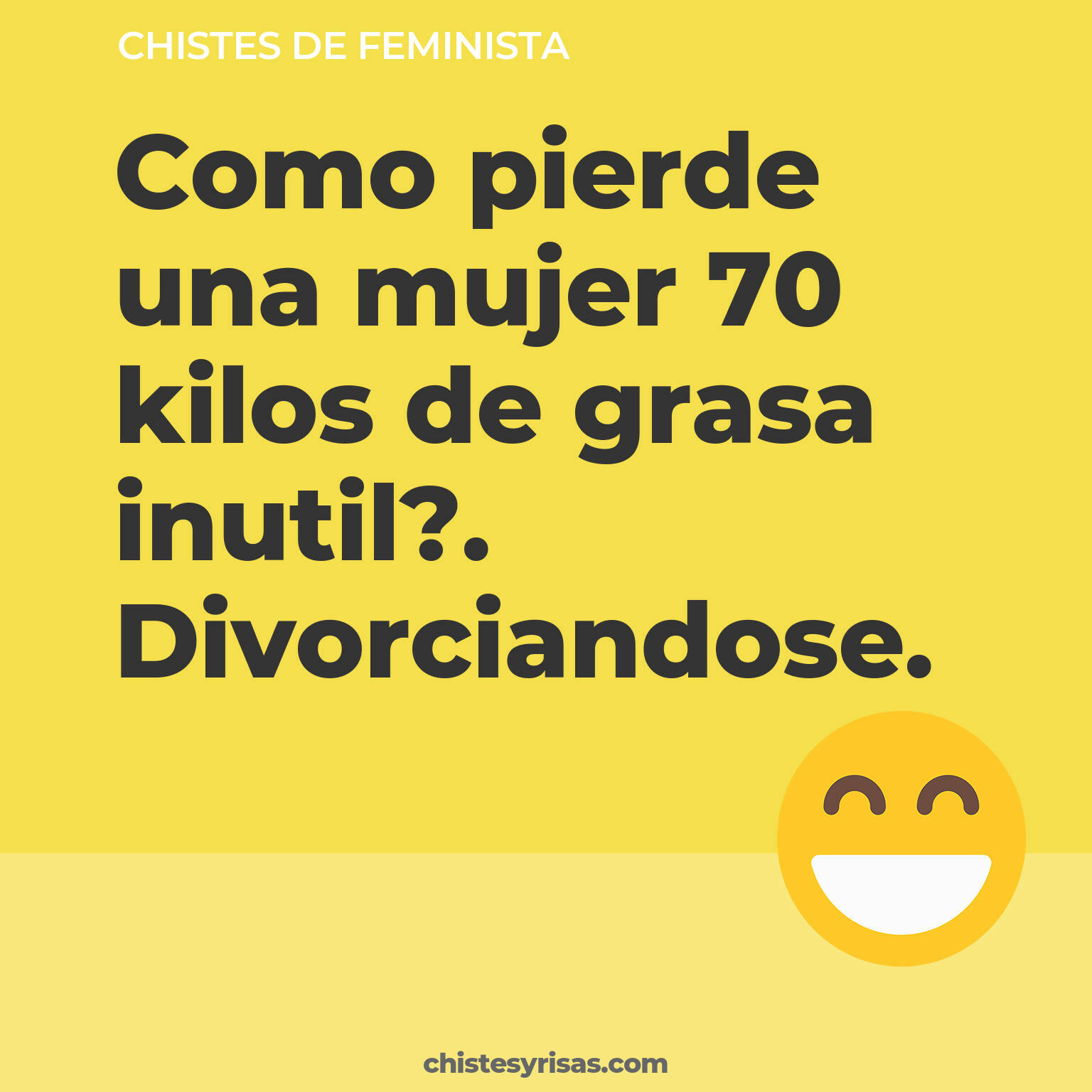 chistes de Feminista buenos