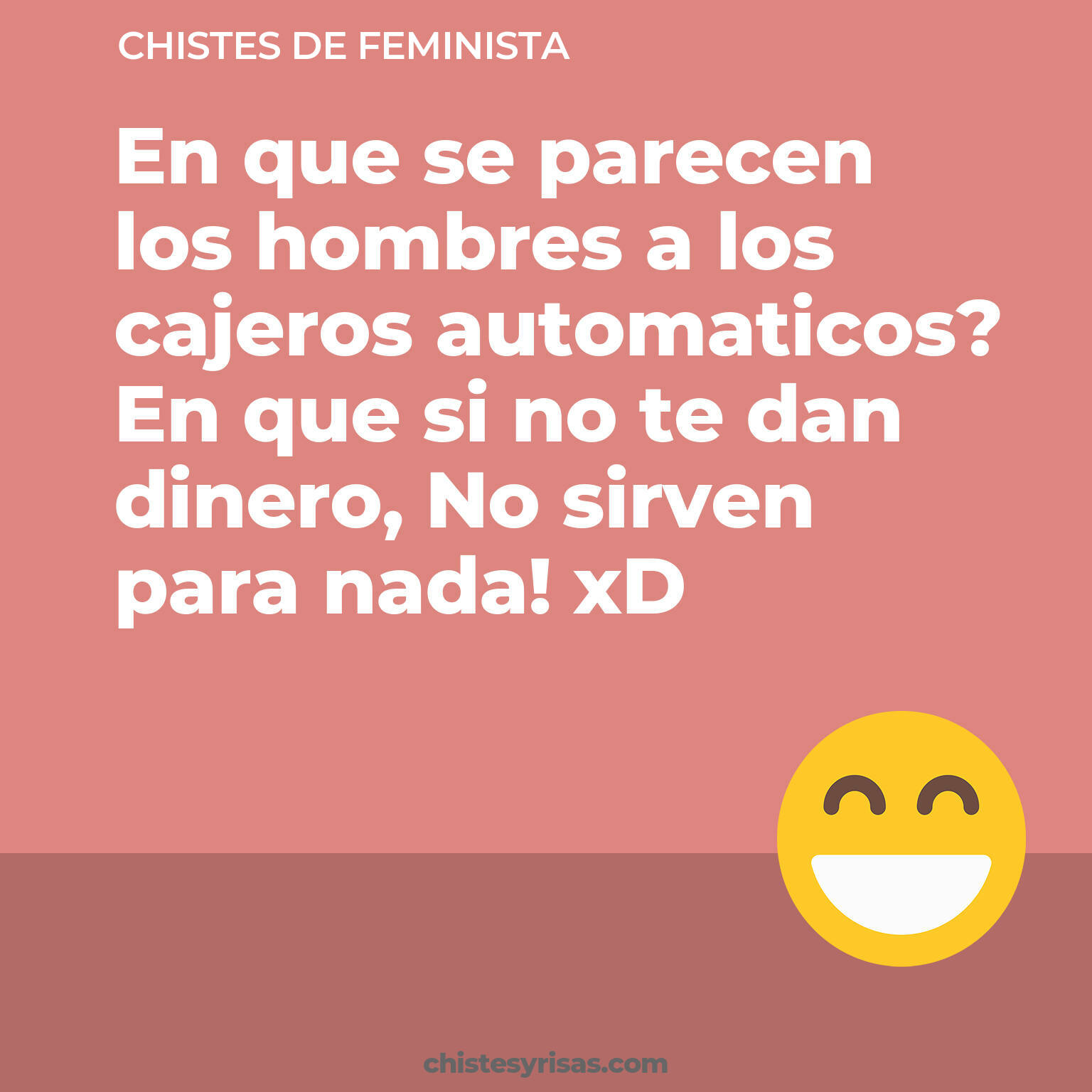 chistes de Feminista cortos