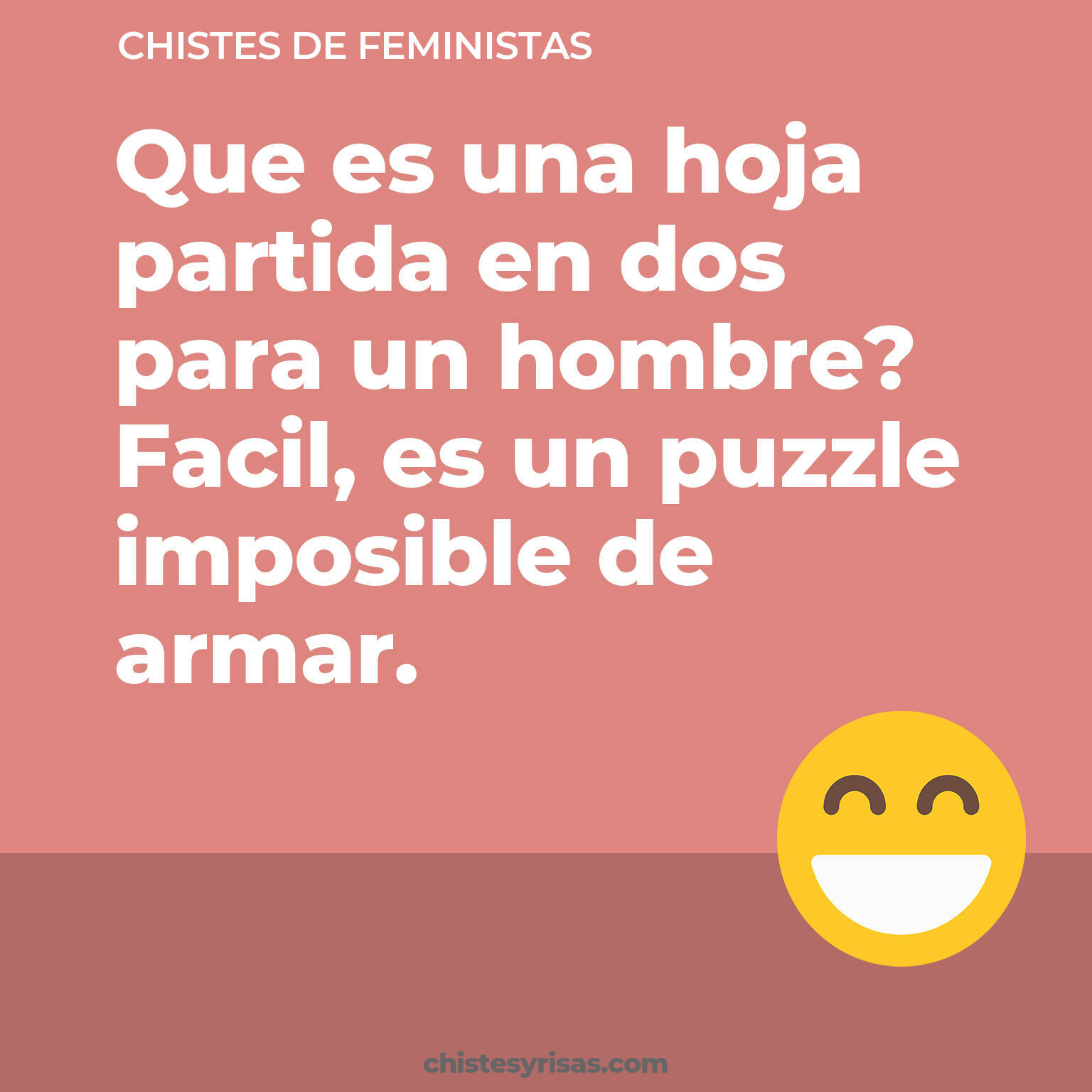 chistes de Feministas más graciosos