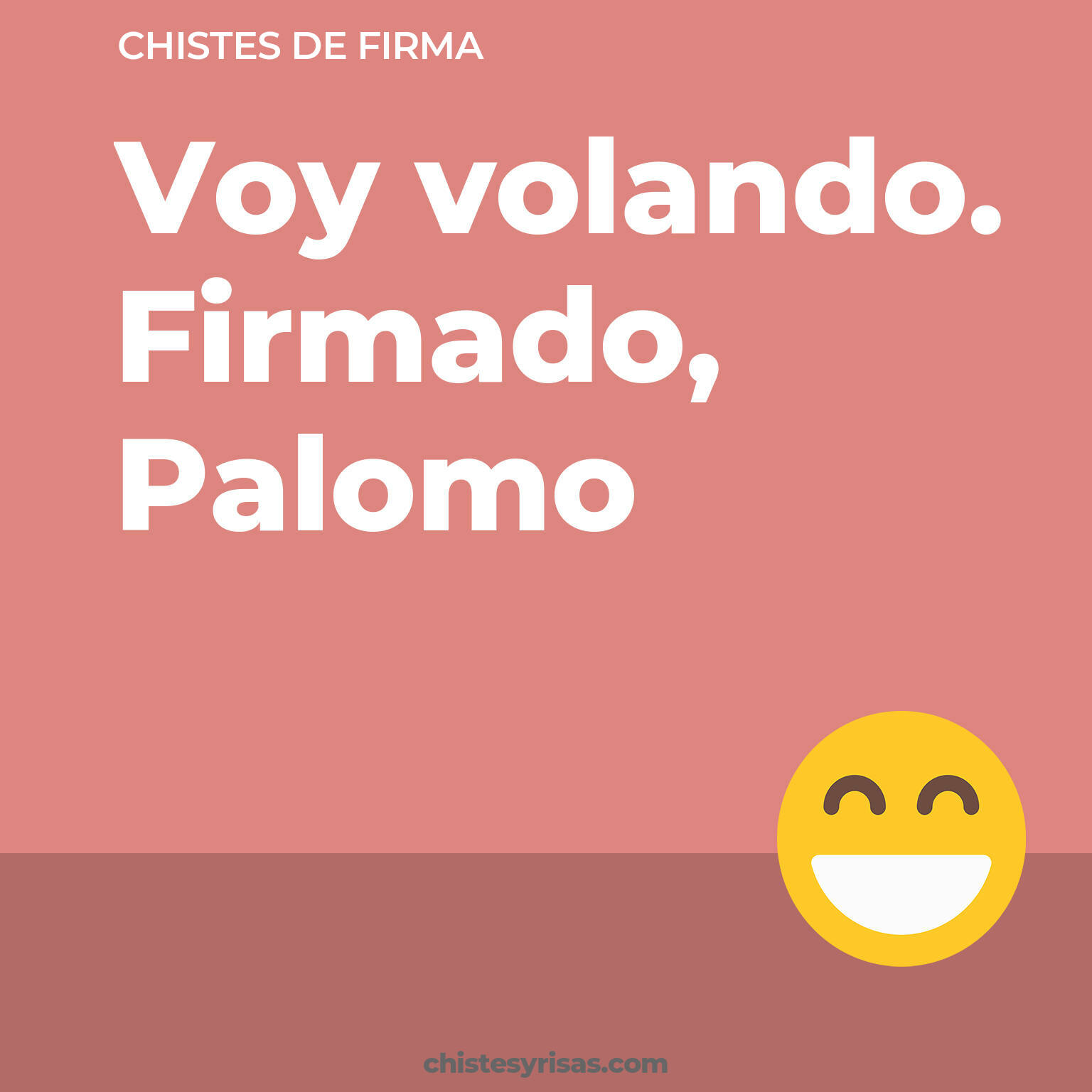 chistes de Firma cortos